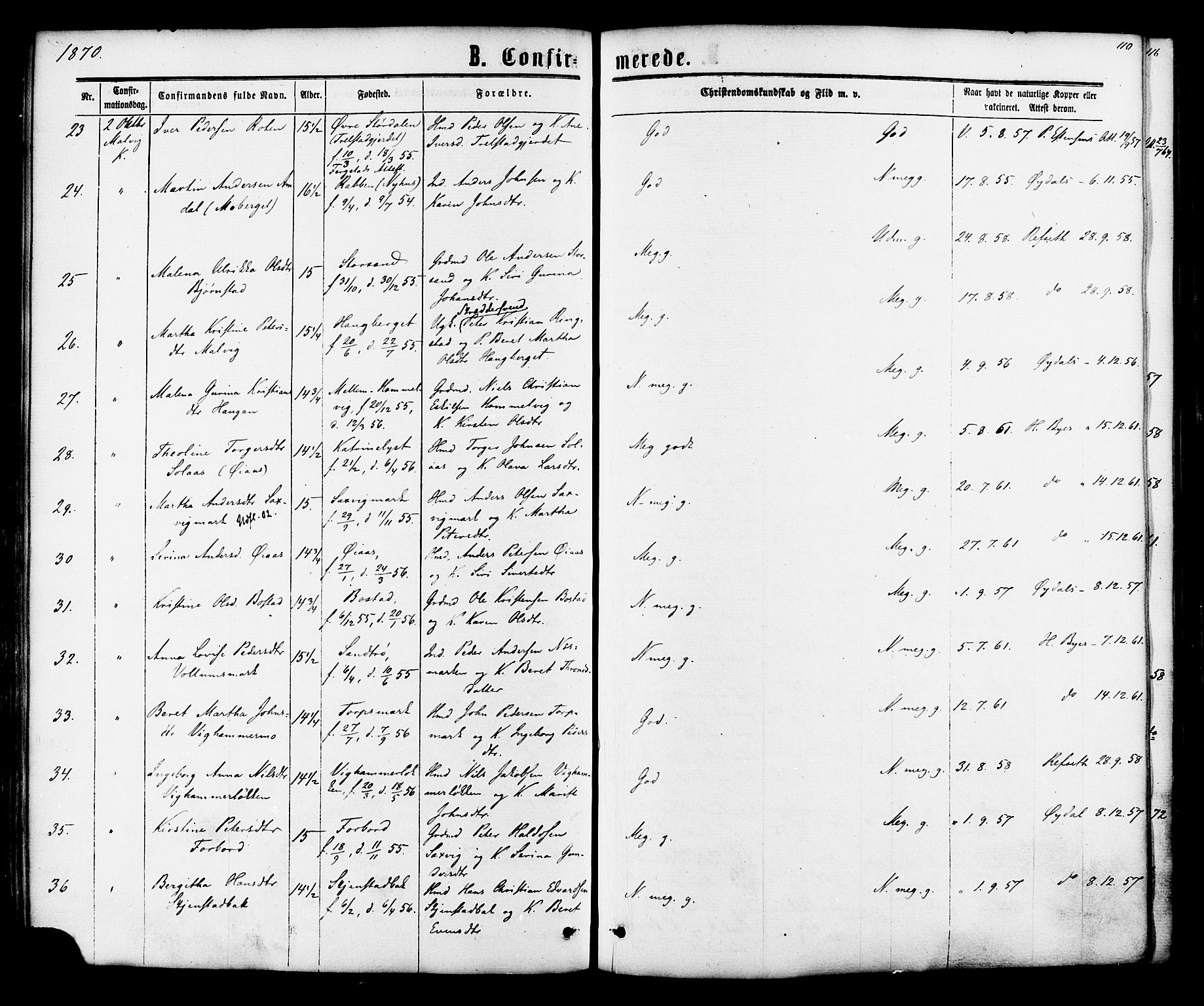 Ministerialprotokoller, klokkerbøker og fødselsregistre - Sør-Trøndelag, AV/SAT-A-1456/616/L0409: Parish register (official) no. 616A06, 1865-1877, p. 110