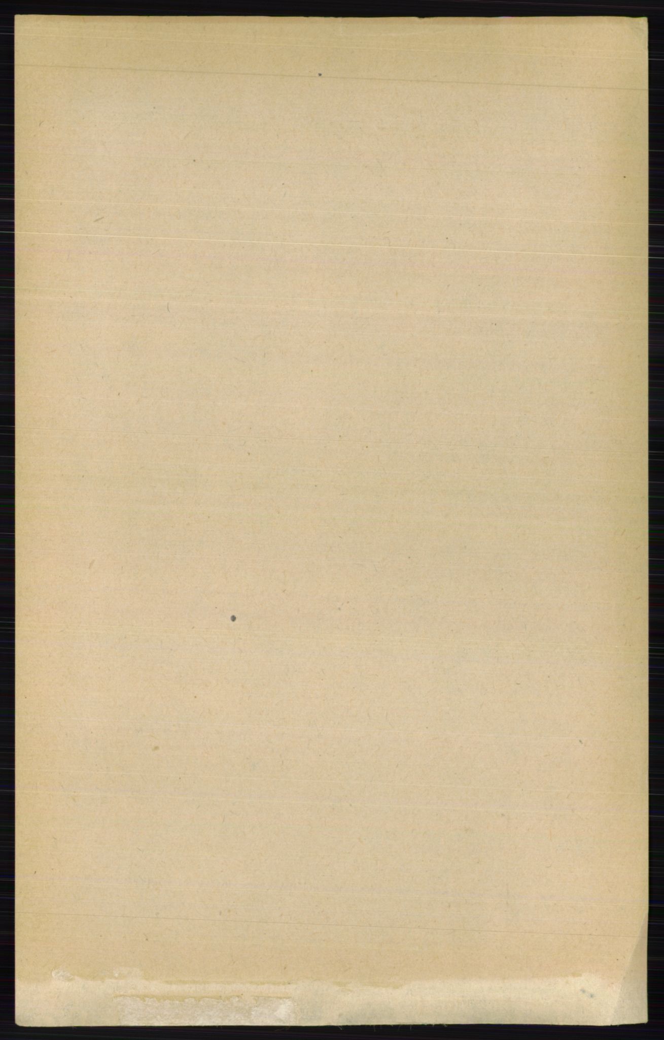 RA, 1891 census for 0411 Nes, 1891, p. 2608