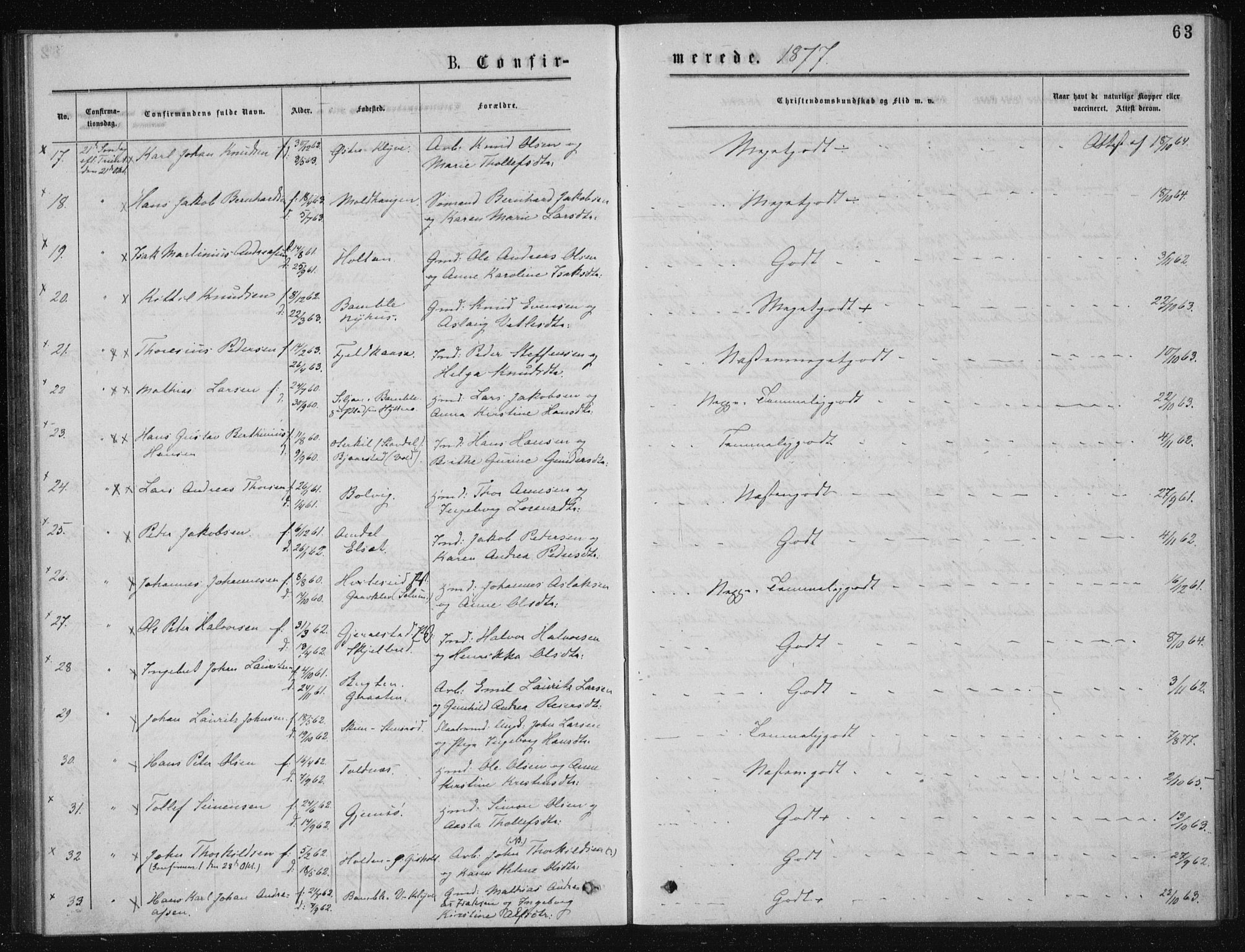 Solum kirkebøker, AV/SAKO-A-306/G/Ga/L0005: Parish register (copy) no. I 5, 1877-1881, p. 63