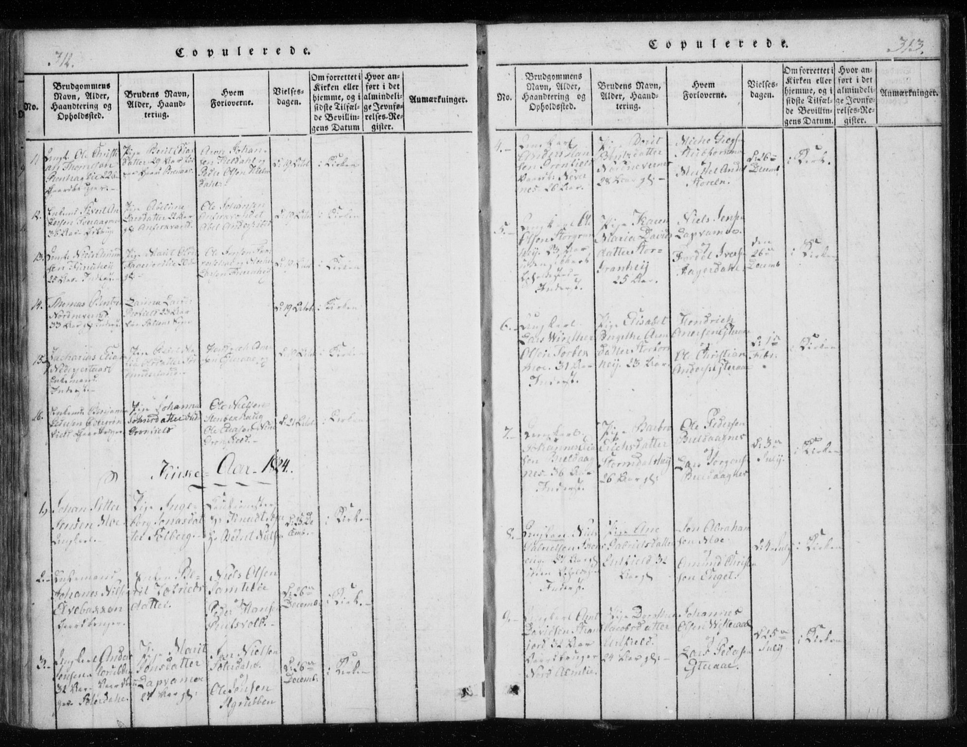 Ministerialprotokoller, klokkerbøker og fødselsregistre - Nordland, AV/SAT-A-1459/825/L0353: Parish register (official) no. 825A07, 1820-1826, p. 312-313