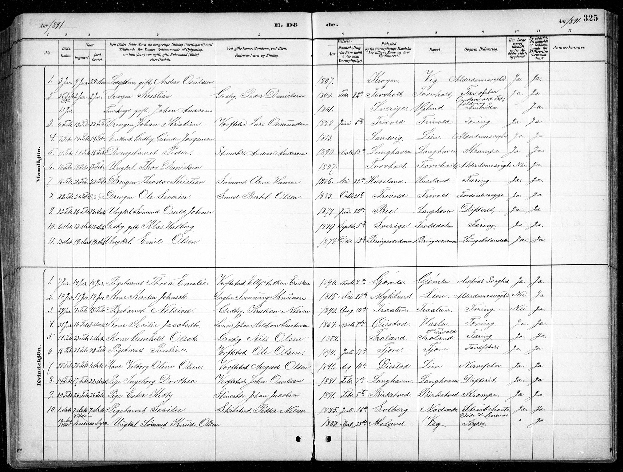 Fjære sokneprestkontor, SAK/1111-0011/F/Fb/L0011: Parish register (copy) no. B 11, 1881-1905, p. 325