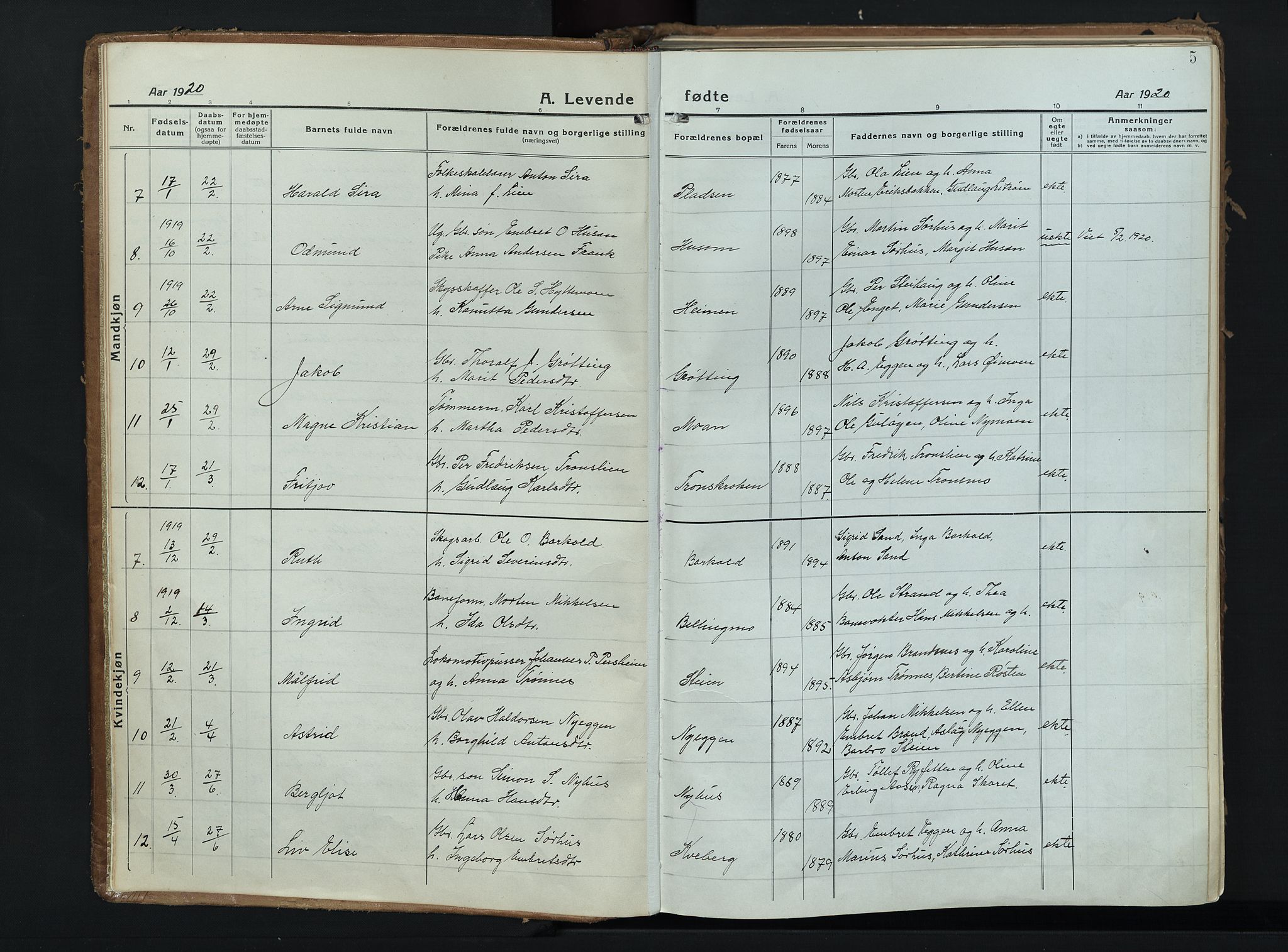 Alvdal prestekontor, SAH/PREST-060/H/Ha/Haa/L0006: Parish register (official) no. 6, 1920-1937, p. 5