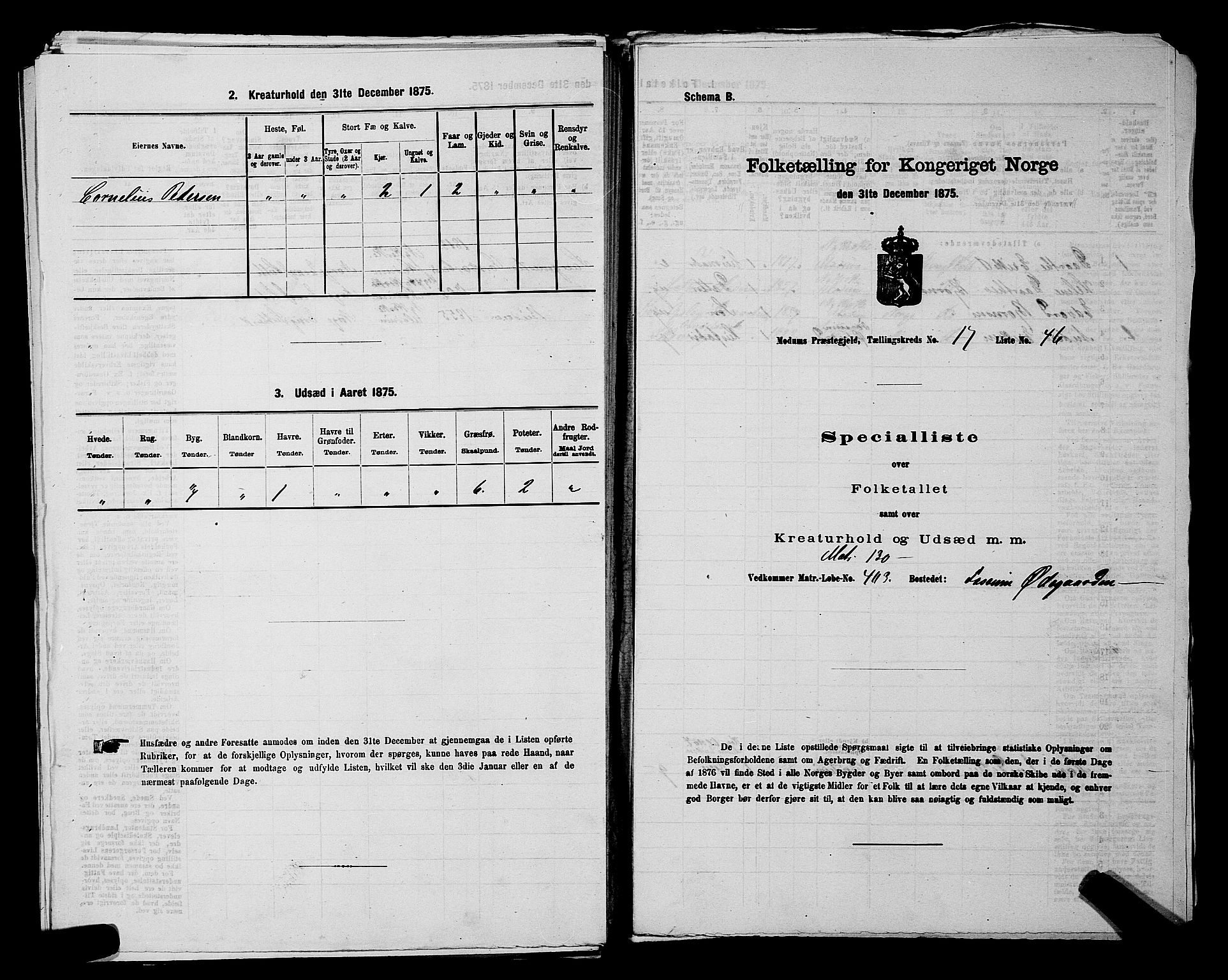 SAKO, 1875 census for 0623P Modum, 1875, p. 2261