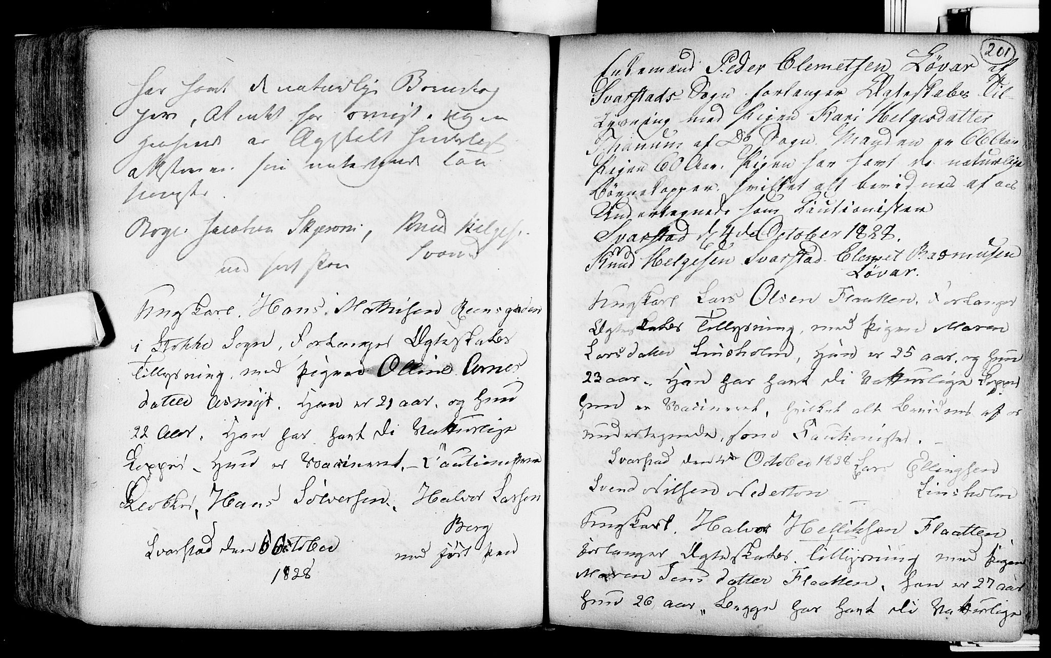 Lardal kirkebøker, SAKO/A-350/F/Fa/L0004: Parish register (official) no. i 4, 1733-1815, p. 201