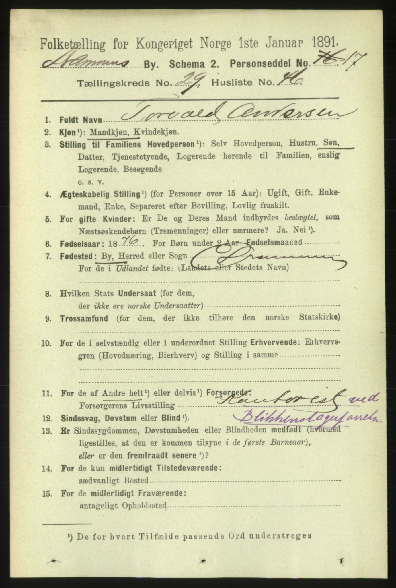 RA, 1891 census for 0602 Drammen, 1891, p. 18060