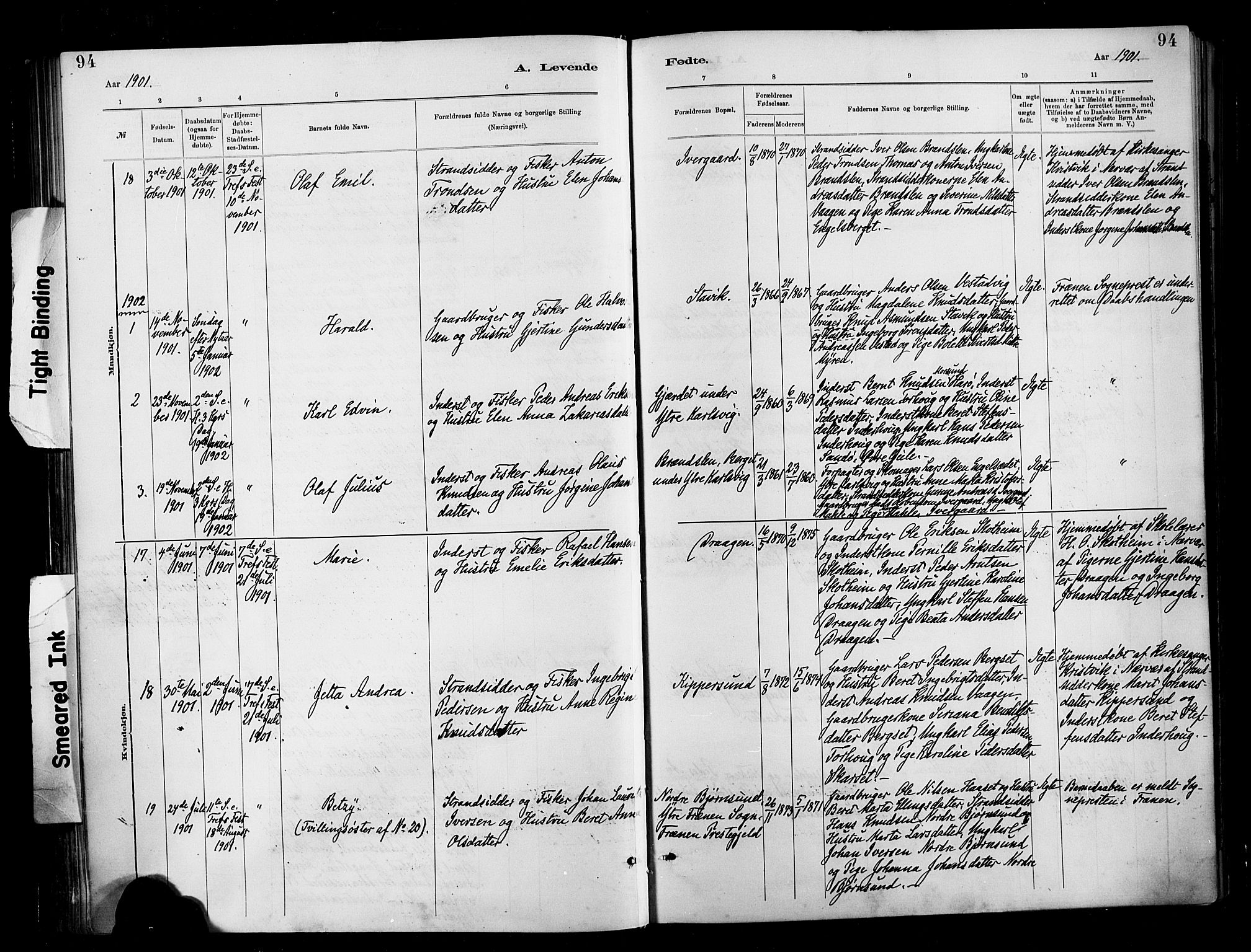 Ministerialprotokoller, klokkerbøker og fødselsregistre - Møre og Romsdal, SAT/A-1454/566/L0769: Parish register (official) no. 566A08, 1881-1903, p. 94