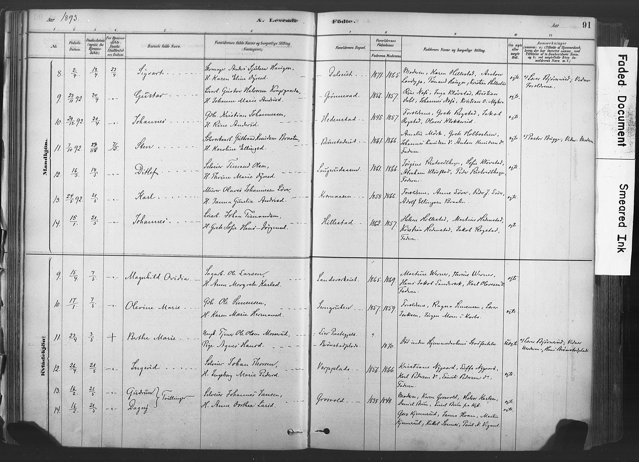 Sandsvær kirkebøker, AV/SAKO-A-244/F/Fd/L0001: Parish register (official) no. IV 1, 1878-1906, p. 91