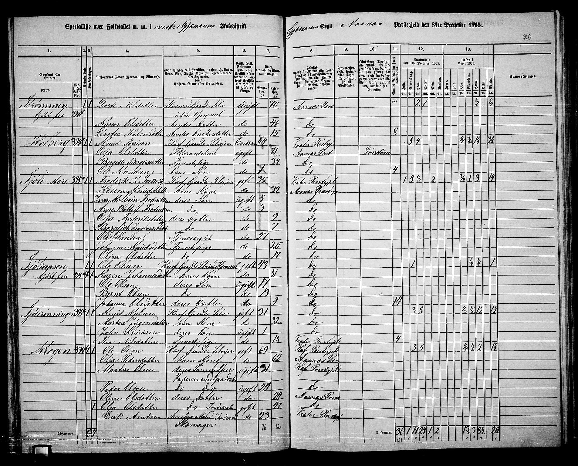 RA, 1865 census for Åsnes, 1865, p. 87