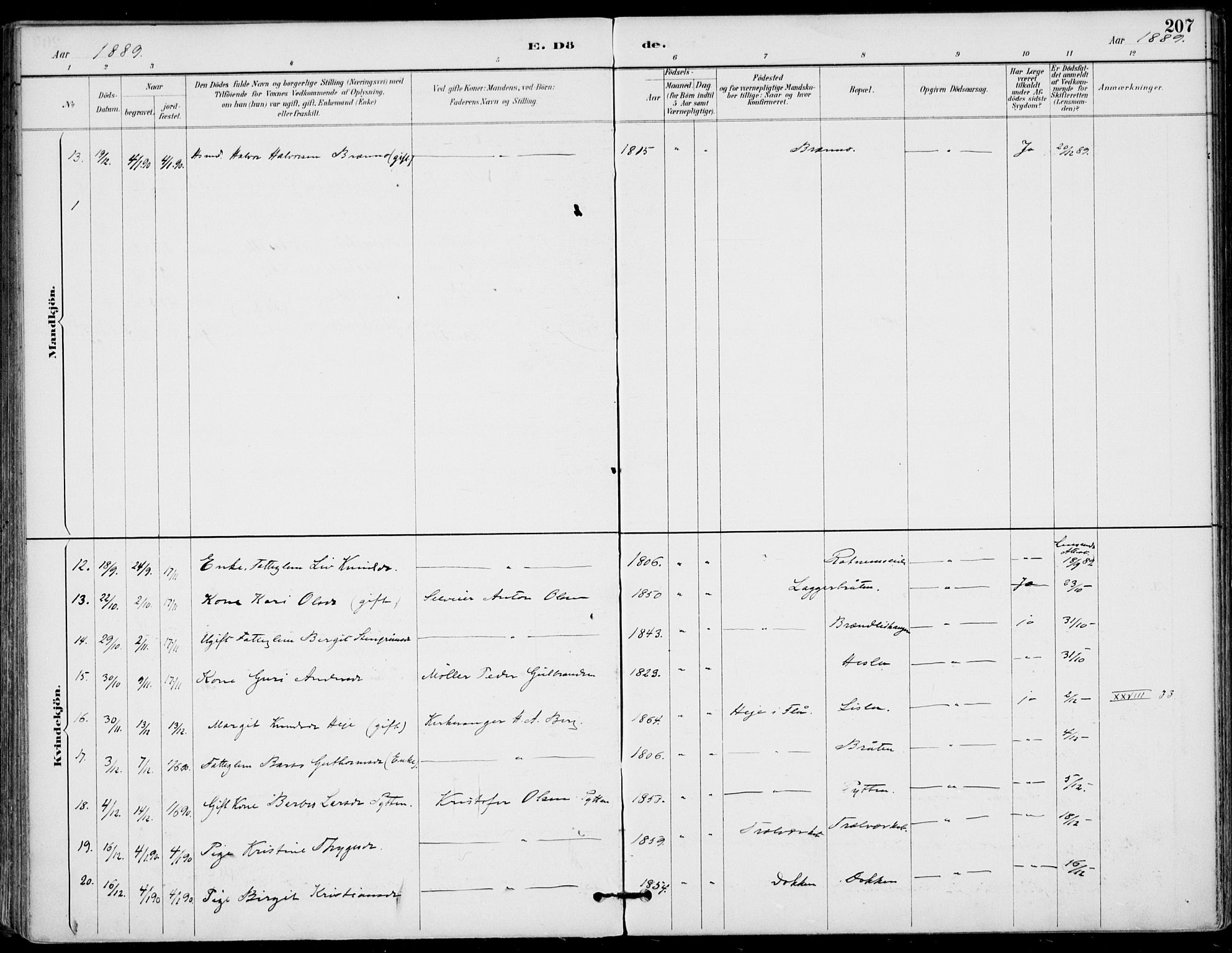 Gol kirkebøker, AV/SAKO-A-226/F/Fa/L0005: Parish register (official) no. I 5, 1887-1900, p. 207