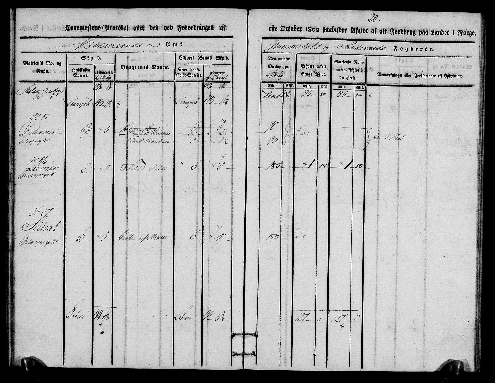 Rentekammeret inntil 1814, Realistisk ordnet avdeling, RA/EA-4070/N/Ne/Nea/L0056a: Numedal og Sandsvær fogderi. Kommisjonsprotokoll for Rollag hovedsogn og Veggli anneks, 1803, p. 21