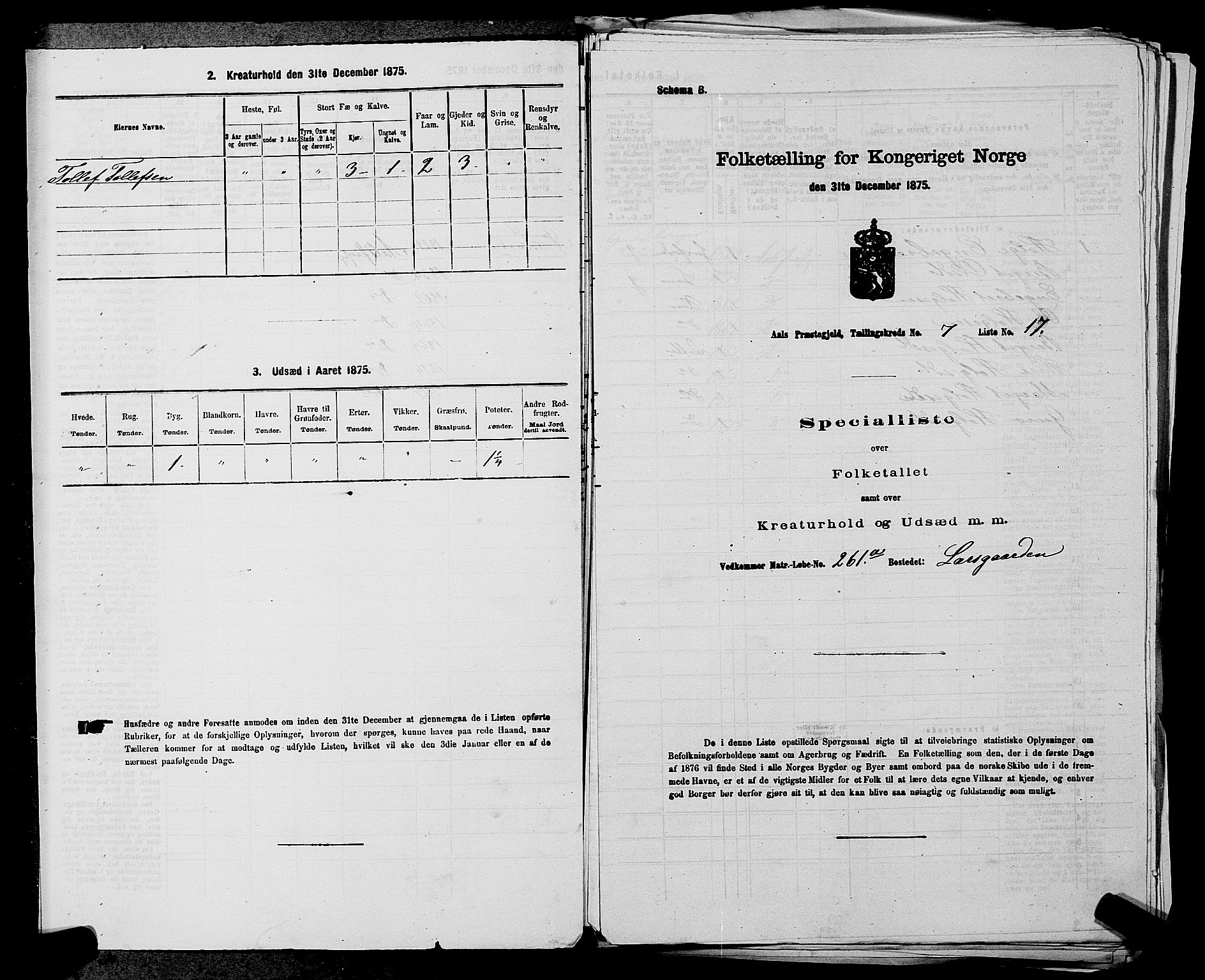 SAKO, 1875 census for 0619P Ål, 1875, p. 868