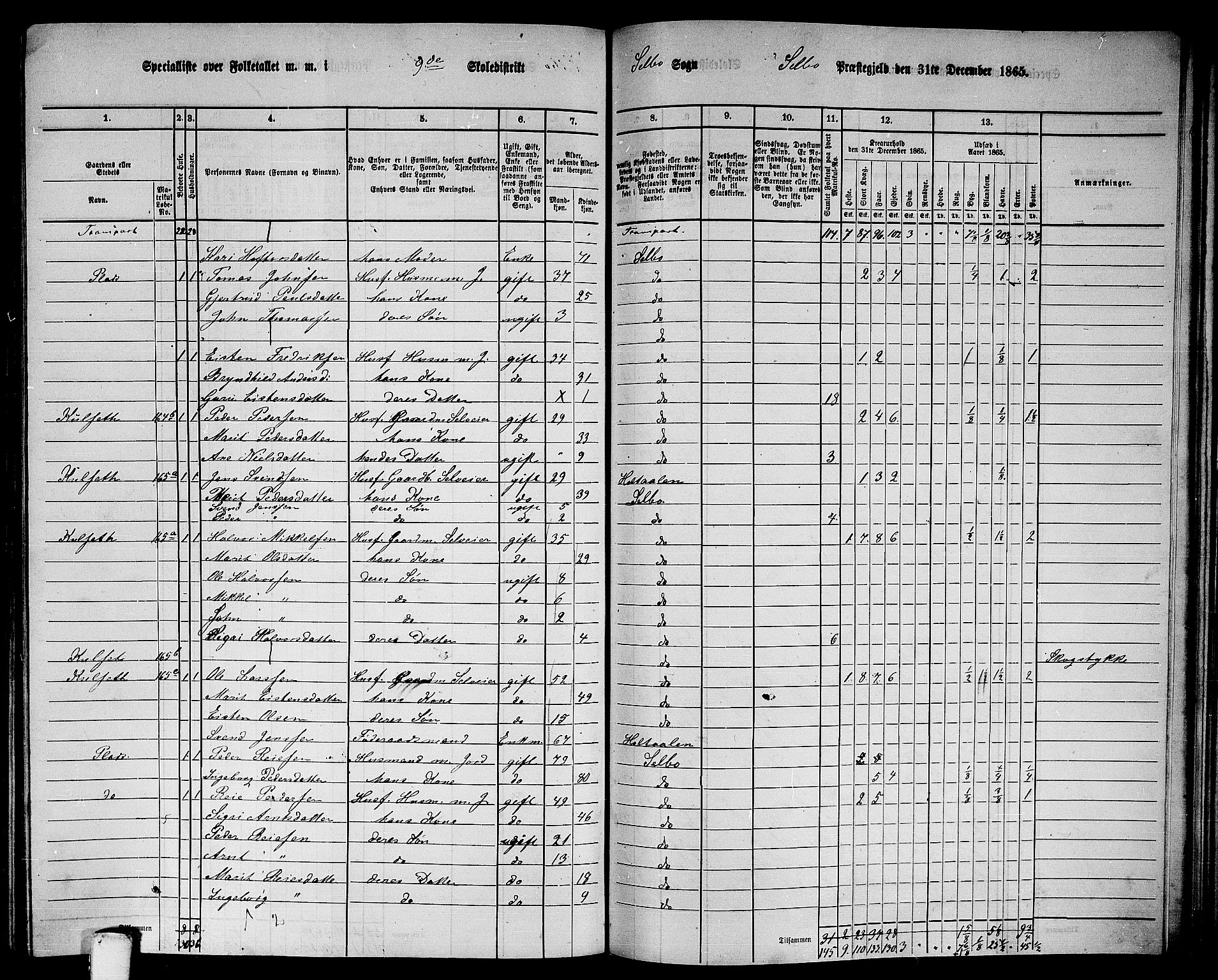 RA, 1865 census for Selbu, 1865, p. 174