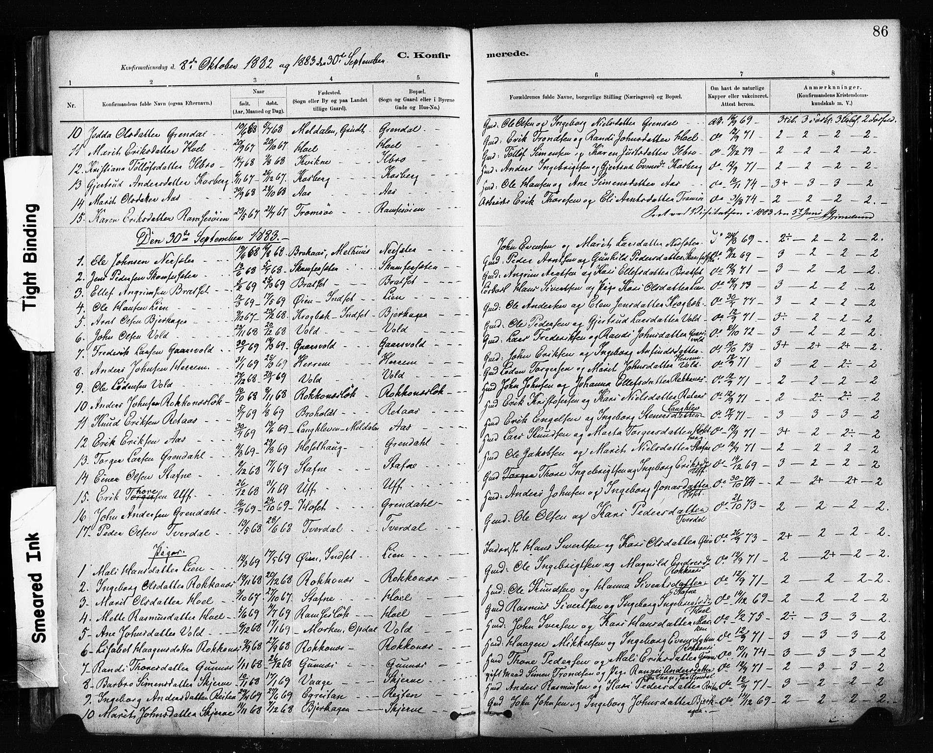 Ministerialprotokoller, klokkerbøker og fødselsregistre - Sør-Trøndelag, SAT/A-1456/674/L0871: Parish register (official) no. 674A03, 1880-1896, p. 86