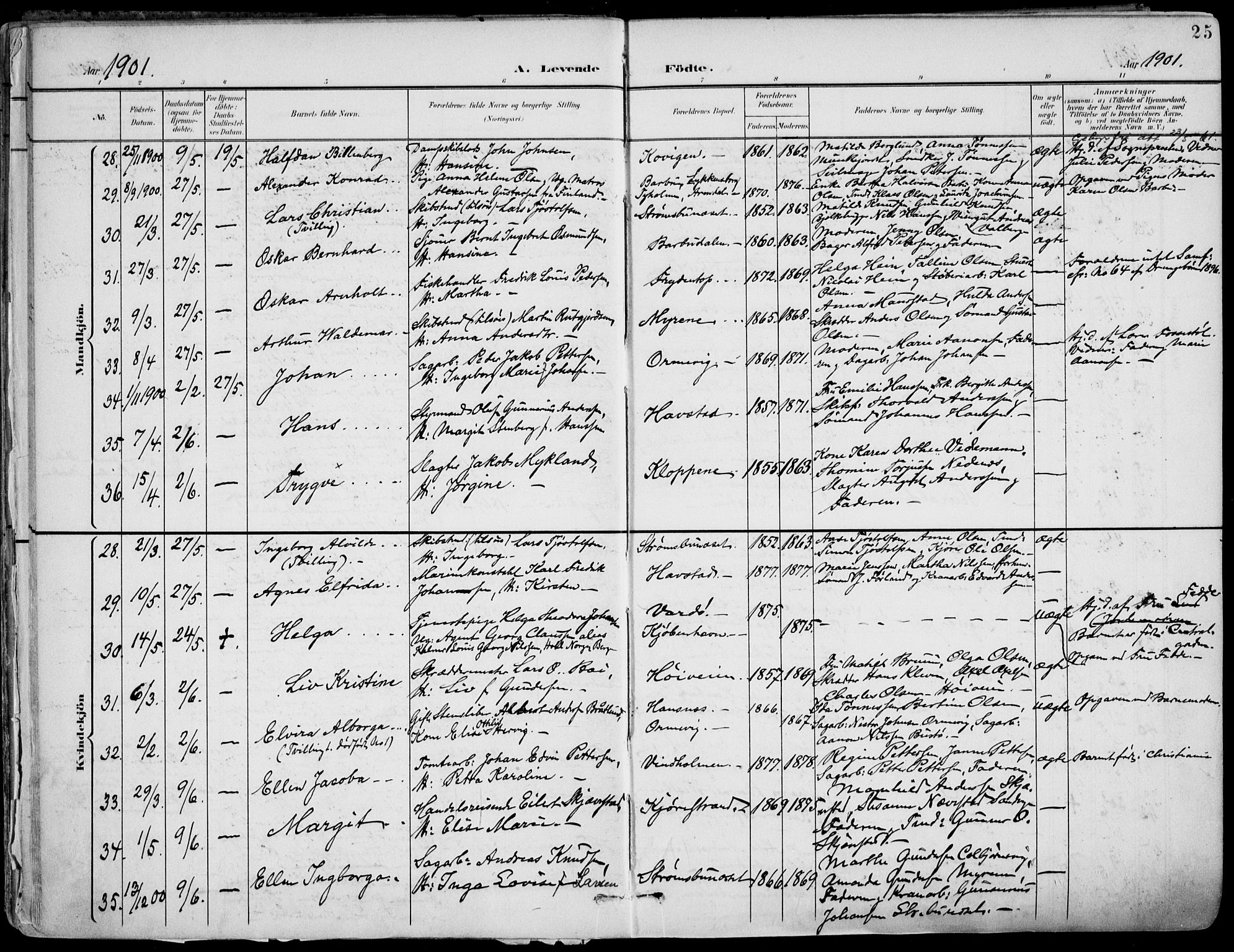 Barbu sokneprestkontor, AV/SAK-1111-0003/F/Fa/L0005: Parish register (official) no. A 5, 1899-1909, p. 25