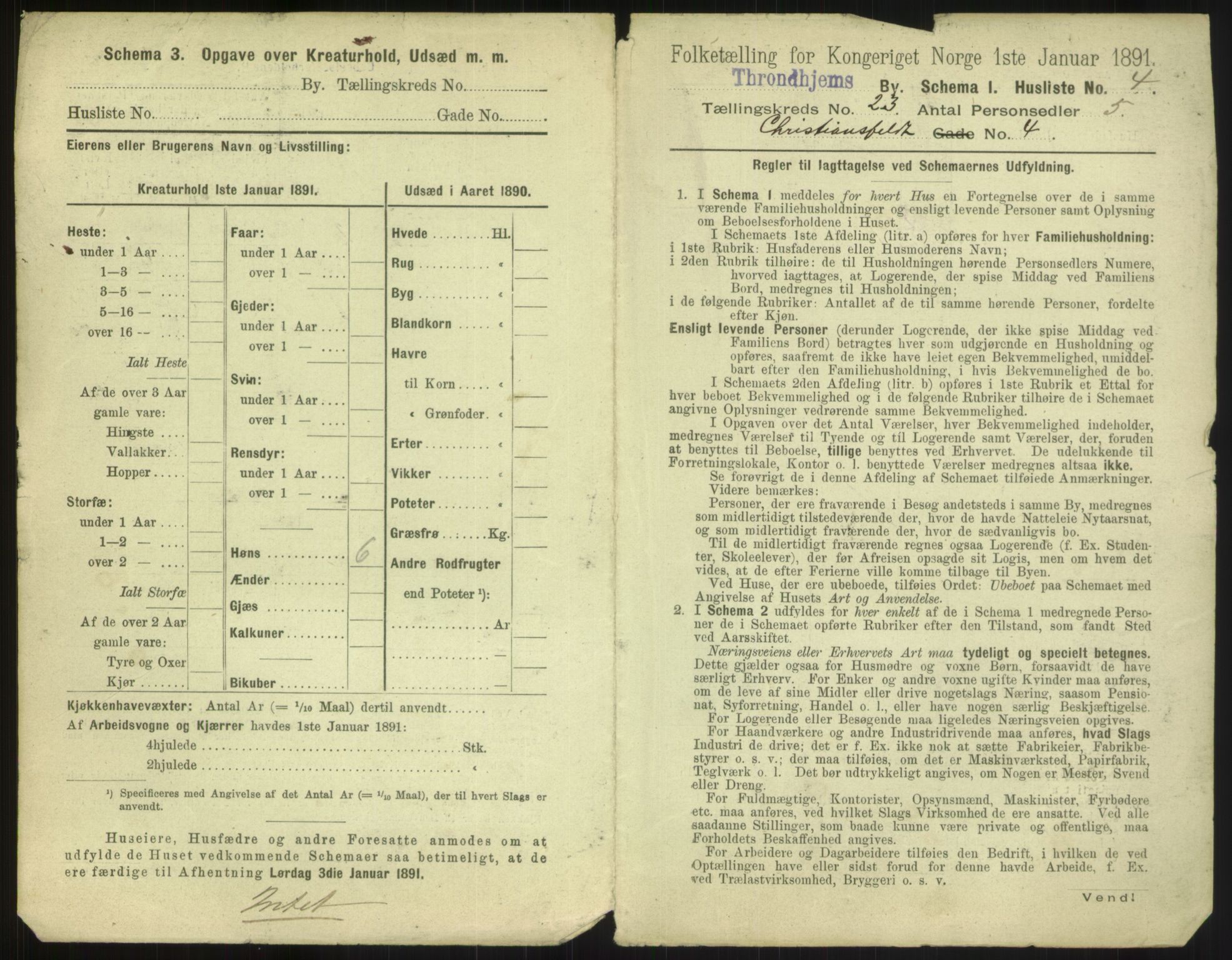 RA, 1891 census for 1601 Trondheim, 1891, p. 1394