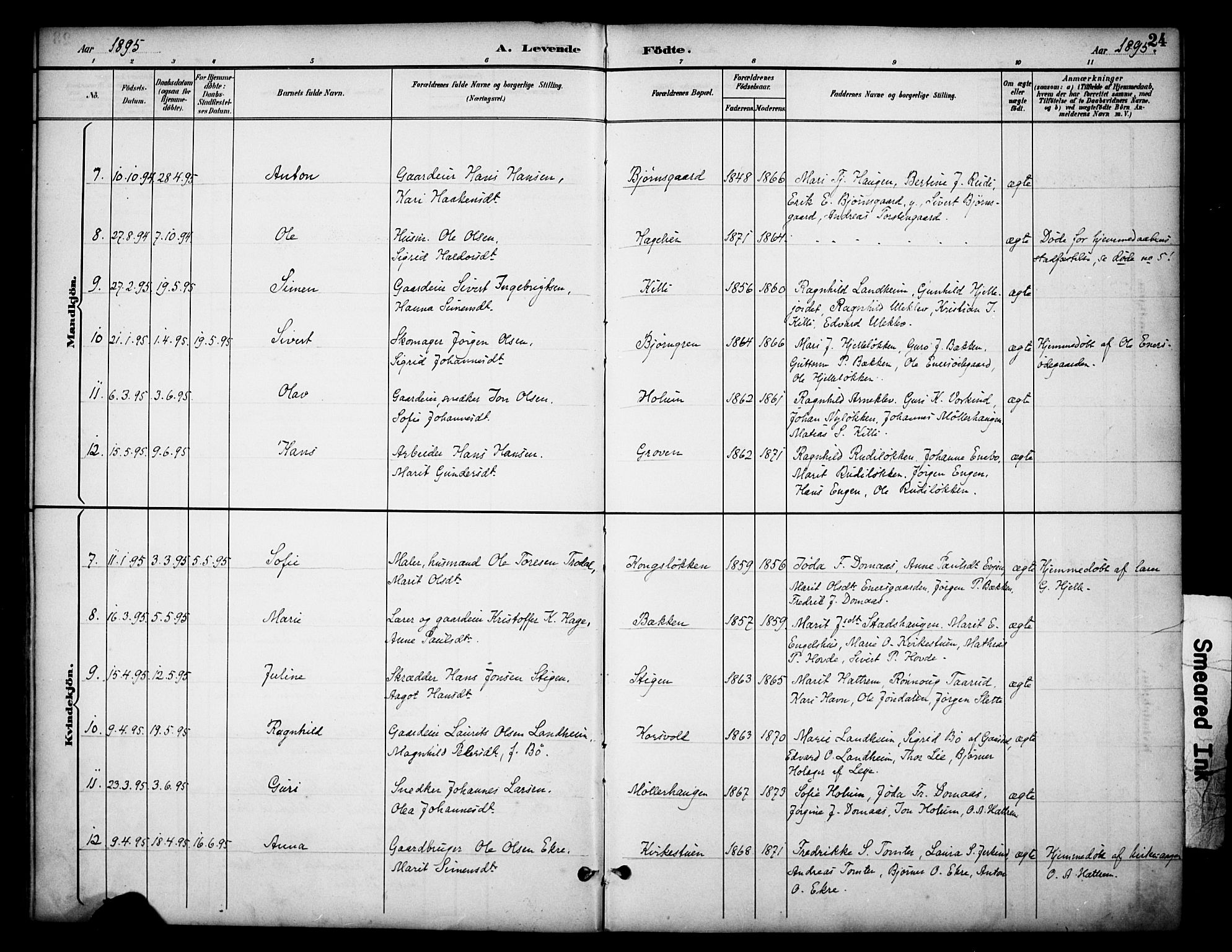 Dovre prestekontor, AV/SAH-PREST-066/H/Ha/Haa/L0003: Parish register (official) no. 3, 1891-1901, p. 24