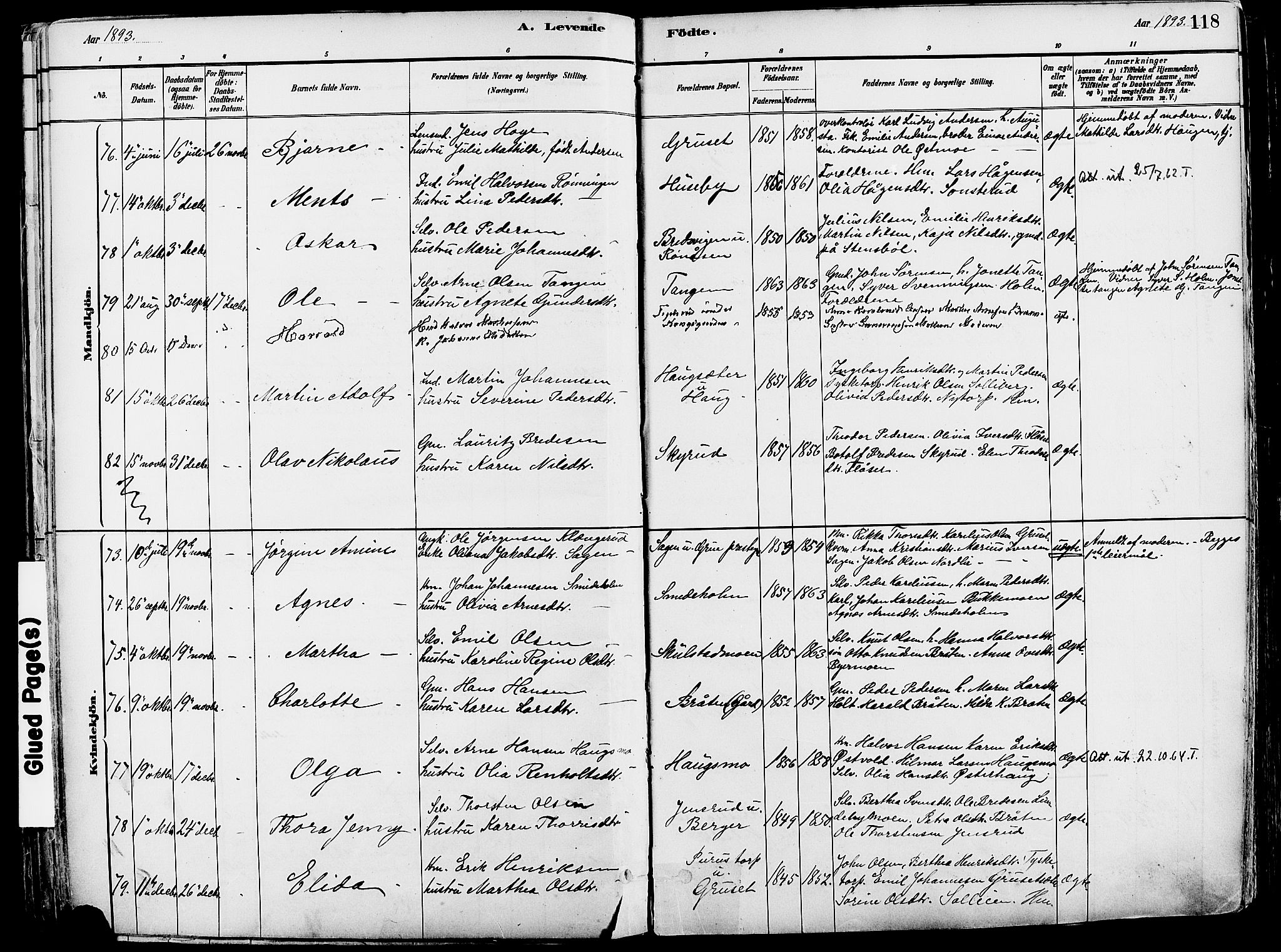 Grue prestekontor, AV/SAH-PREST-036/H/Ha/Haa/L0012: Parish register (official) no. 12, 1881-1897, p. 118