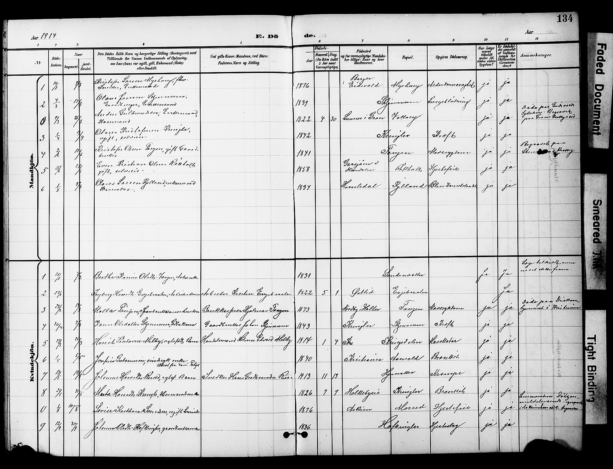 Nannestad prestekontor Kirkebøker, SAO/A-10414a/G/Gc/L0001: Parish register (copy) no. III 1, 1901-1916, p. 134