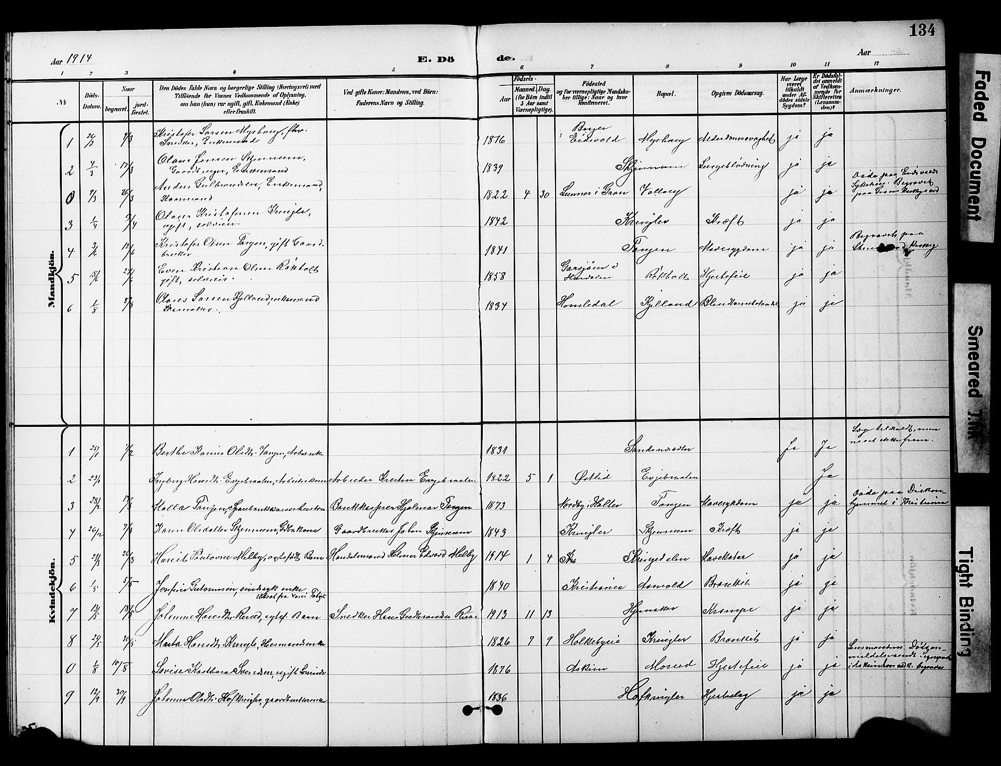 Nannestad prestekontor Kirkebøker, AV/SAO-A-10414a/G/Gc/L0001: Parish register (copy) no. III 1, 1901-1916, p. 134