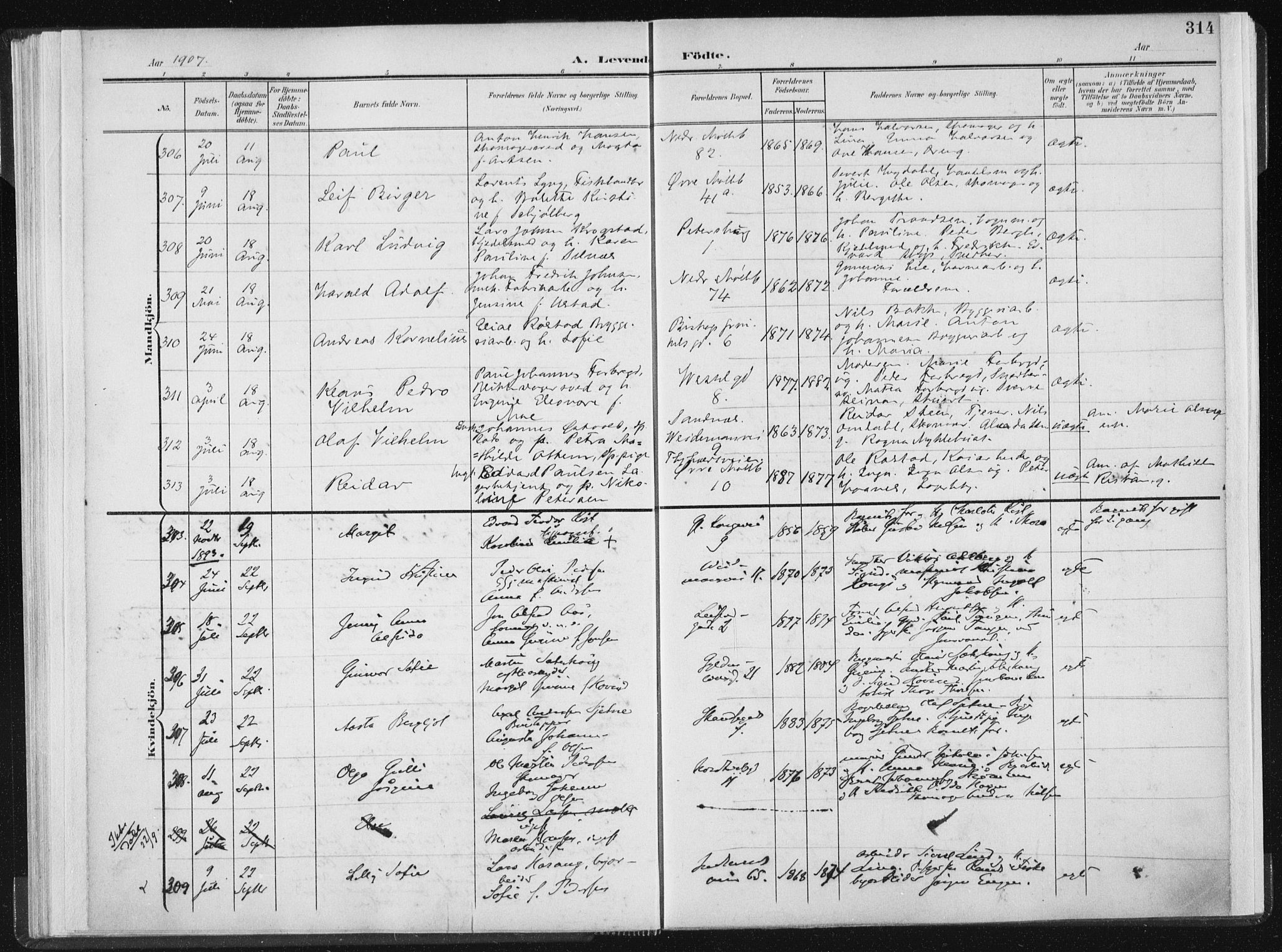 Ministerialprotokoller, klokkerbøker og fødselsregistre - Sør-Trøndelag, AV/SAT-A-1456/604/L0200: Parish register (official) no. 604A20II, 1901-1908, p. 314