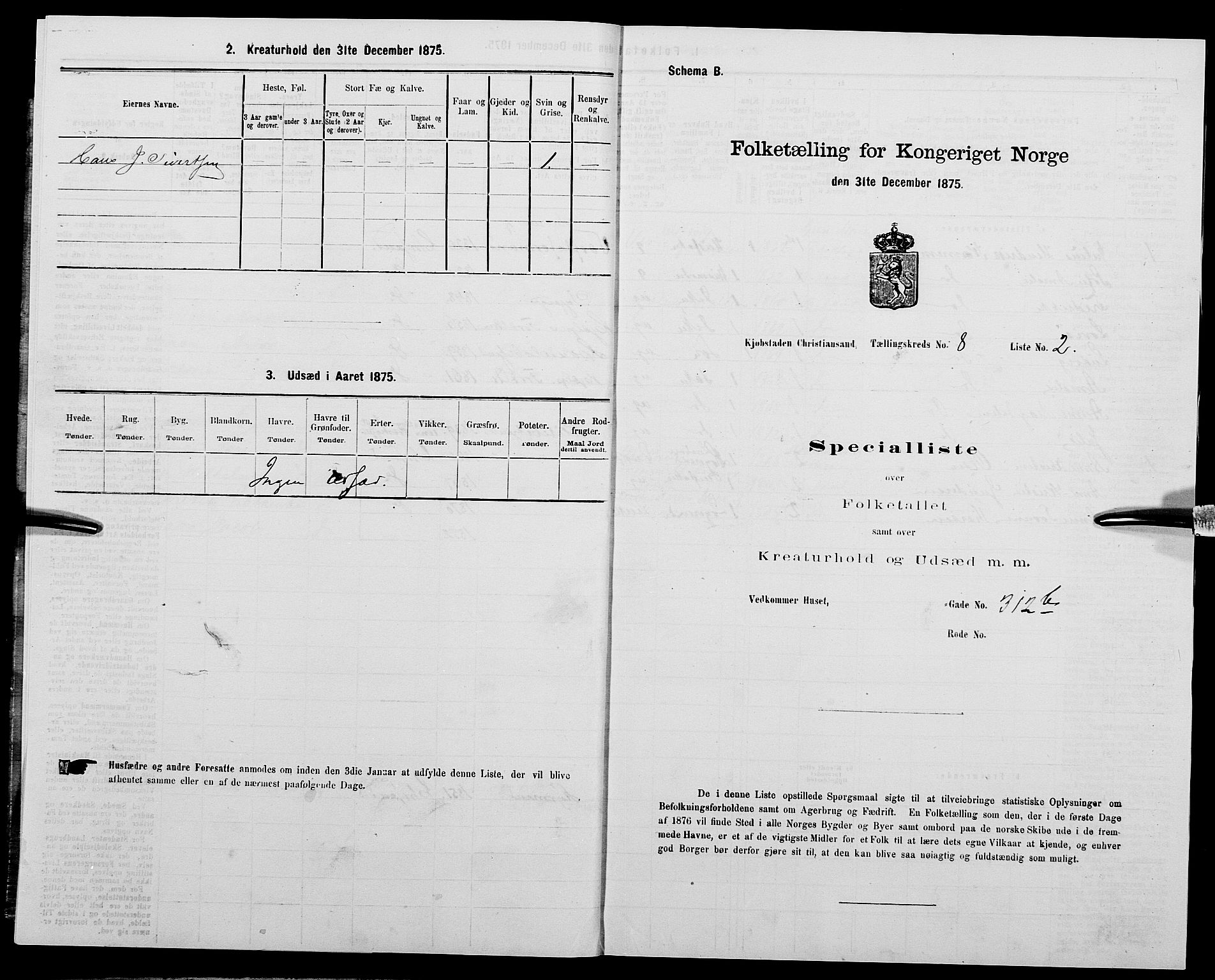 SAK, 1875 census for 1001P Kristiansand, 1875, p. 1217