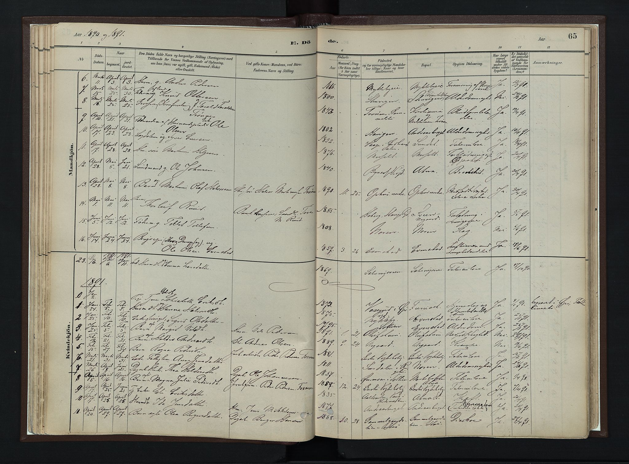 Stor-Elvdal prestekontor, SAH/PREST-052/H/Ha/Haa/L0003: Parish register (official) no. 3, 1882-1901, p. 65