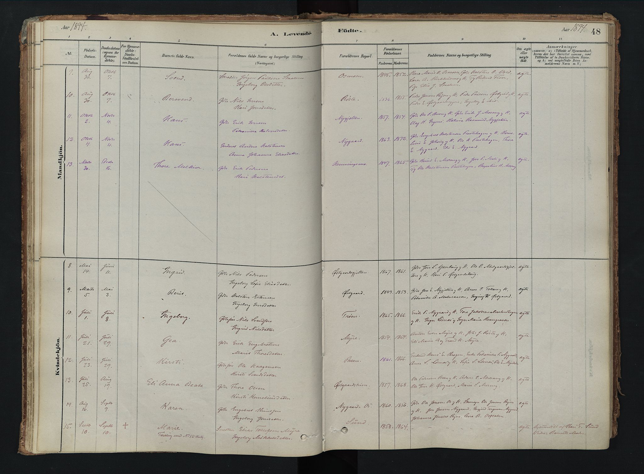 Tolga prestekontor, SAH/PREST-062/K/L0008: Parish register (official) no. 8, 1877-1910, p. 48