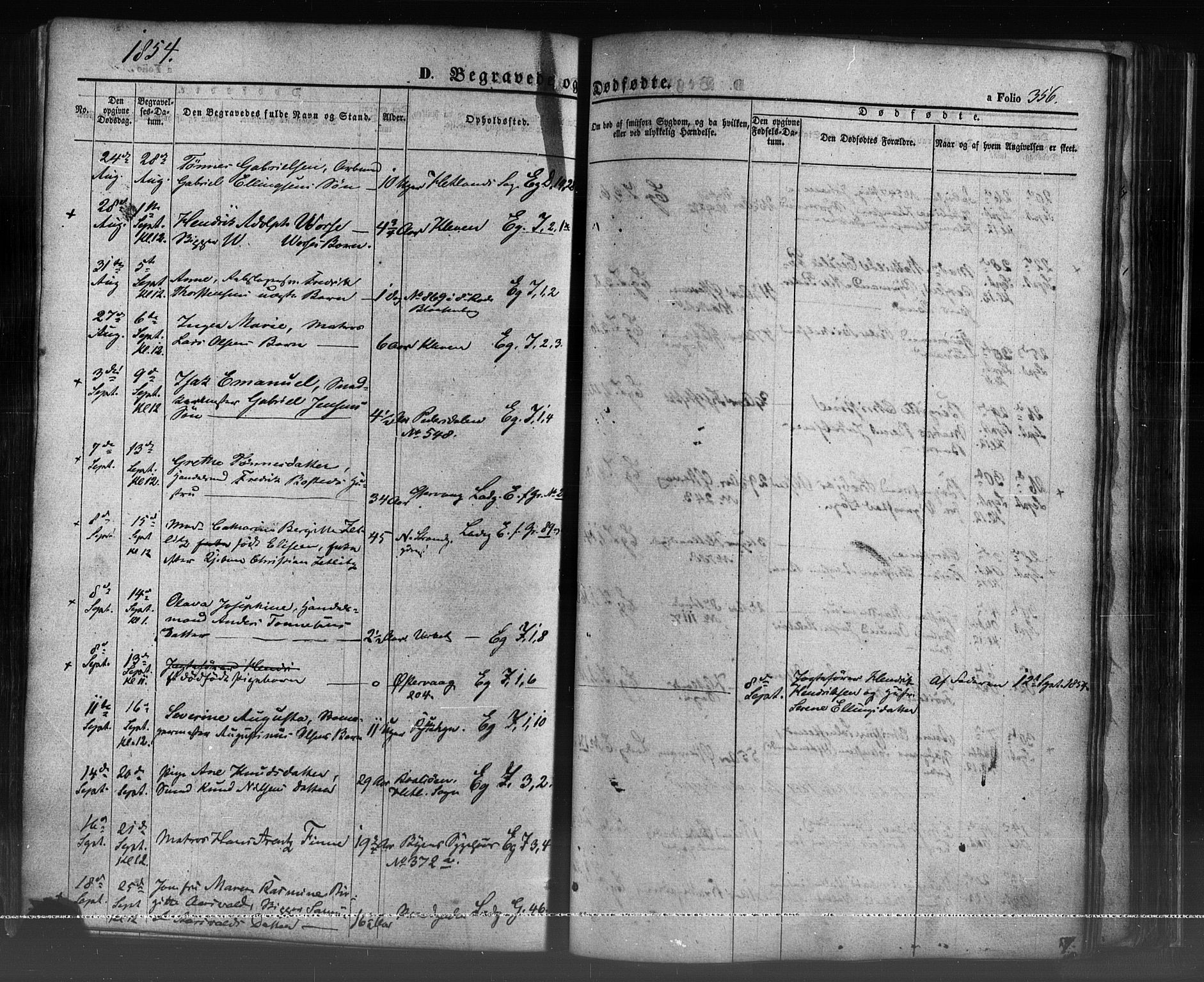 Domkirken sokneprestkontor, AV/SAST-A-101812/001/30/30BB/L0009: Parish register (copy) no. B 9, 1850-1858, p. 356
