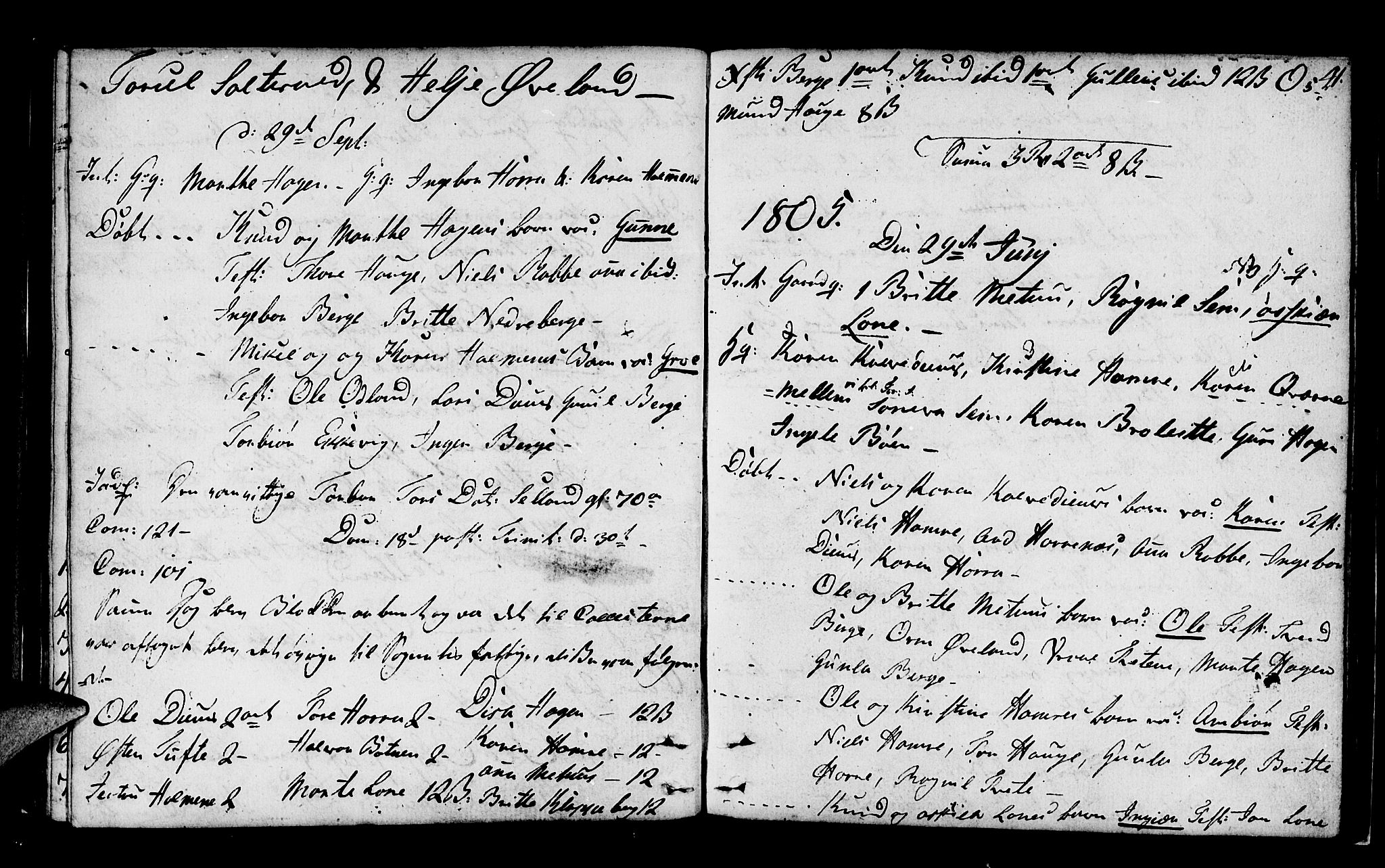 Røldal sokneprestembete, SAB/A-100247: Parish register (official) no. A 1, 1780-1816, p. 41