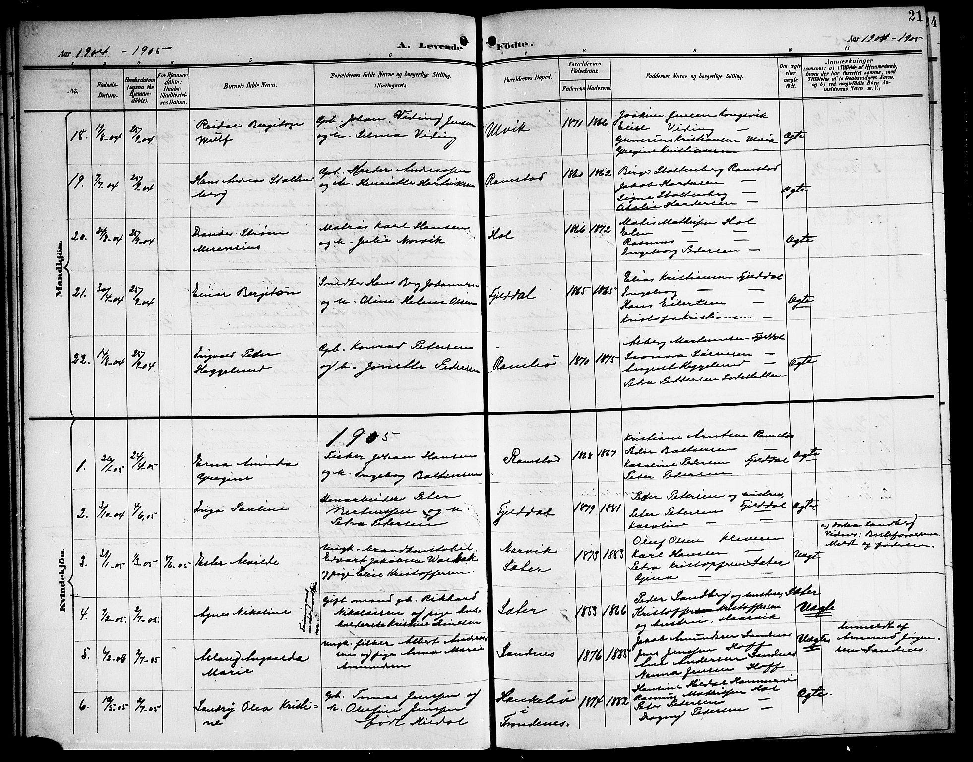 Ministerialprotokoller, klokkerbøker og fødselsregistre - Nordland, AV/SAT-A-1459/865/L0932: Parish register (copy) no. 865C04, 1901-1917, p. 21