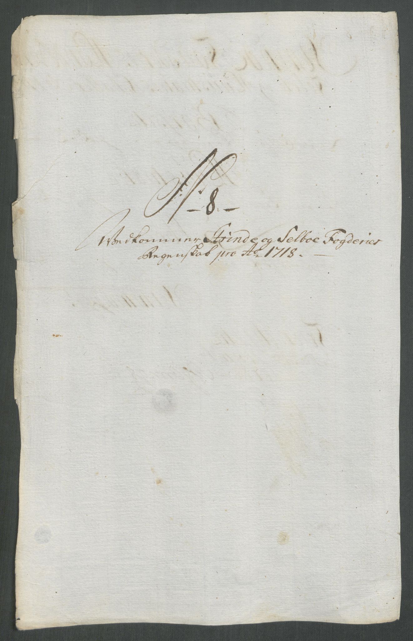 Rentekammeret inntil 1814, Reviderte regnskaper, Fogderegnskap, RA/EA-4092/R61/L4116: Fogderegnskap Strinda og Selbu, 1717-1718, p. 390