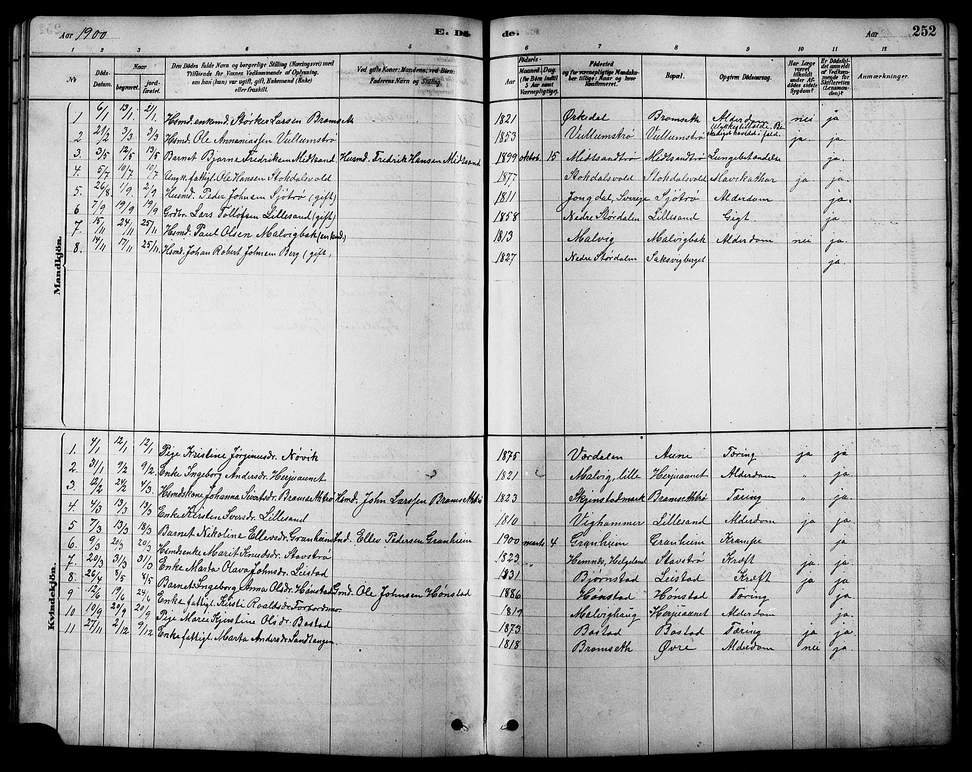 Ministerialprotokoller, klokkerbøker og fødselsregistre - Sør-Trøndelag, SAT/A-1456/616/L0423: Parish register (copy) no. 616C06, 1878-1903, p. 252