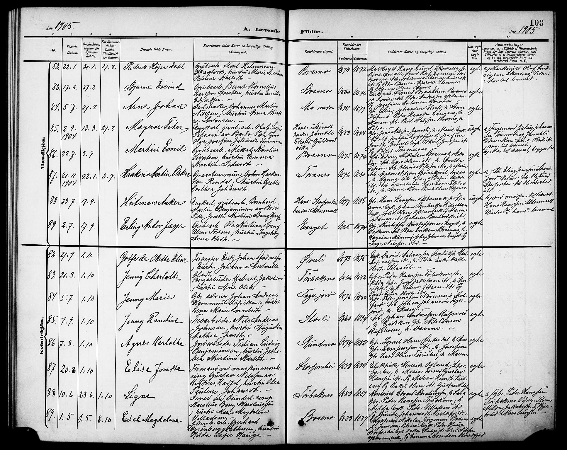 Ministerialprotokoller, klokkerbøker og fødselsregistre - Nordland, AV/SAT-A-1459/827/L0422: Parish register (copy) no. 827C11, 1899-1912, p. 103