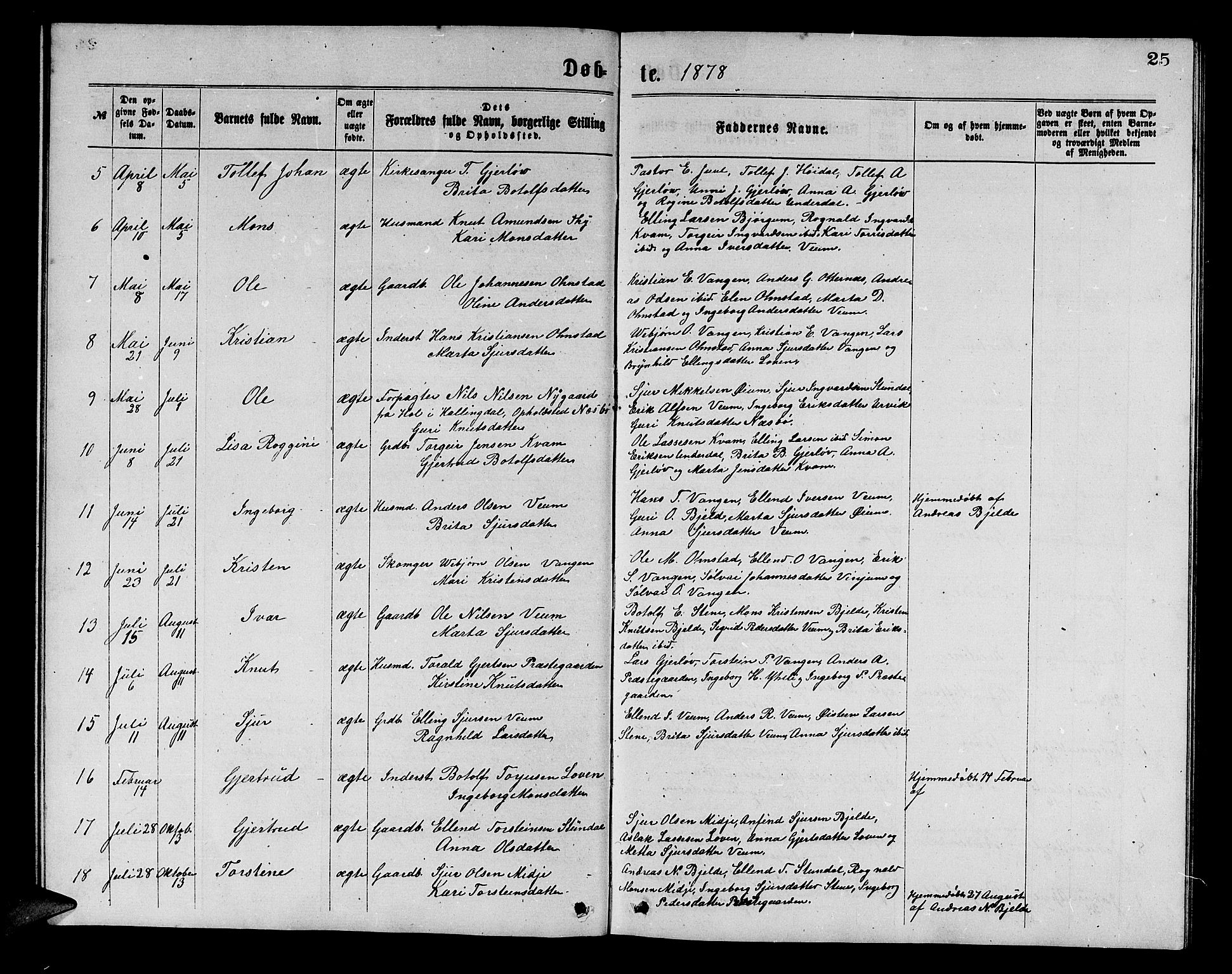 Aurland sokneprestembete, SAB/A-99937/H/Hb/Hba/L0001: Parish register (copy) no. A 1, 1868-1881, p. 25