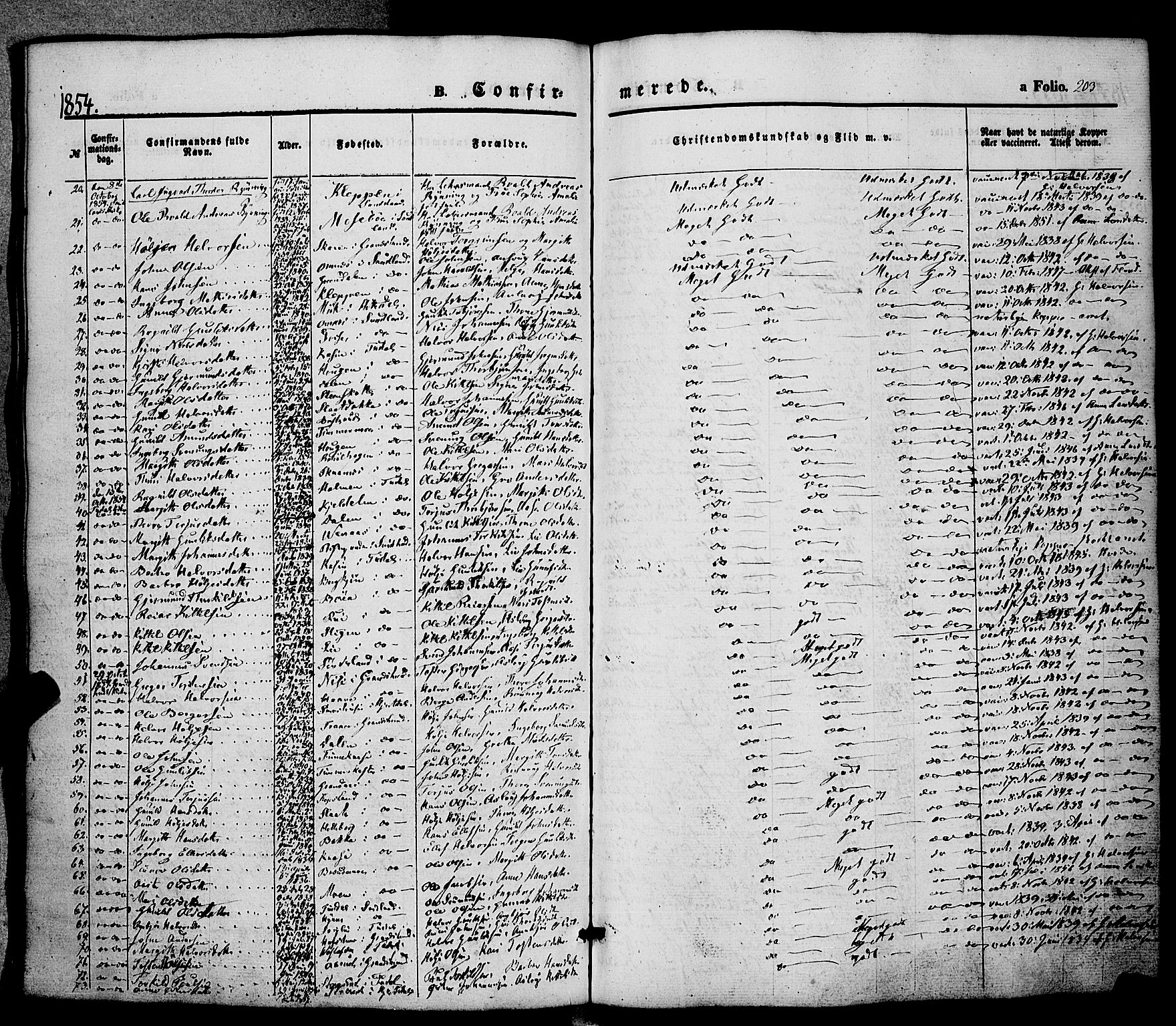 Hjartdal kirkebøker, SAKO/A-270/F/Fa/L0008: Parish register (official) no. I 8, 1844-1859, p. 203