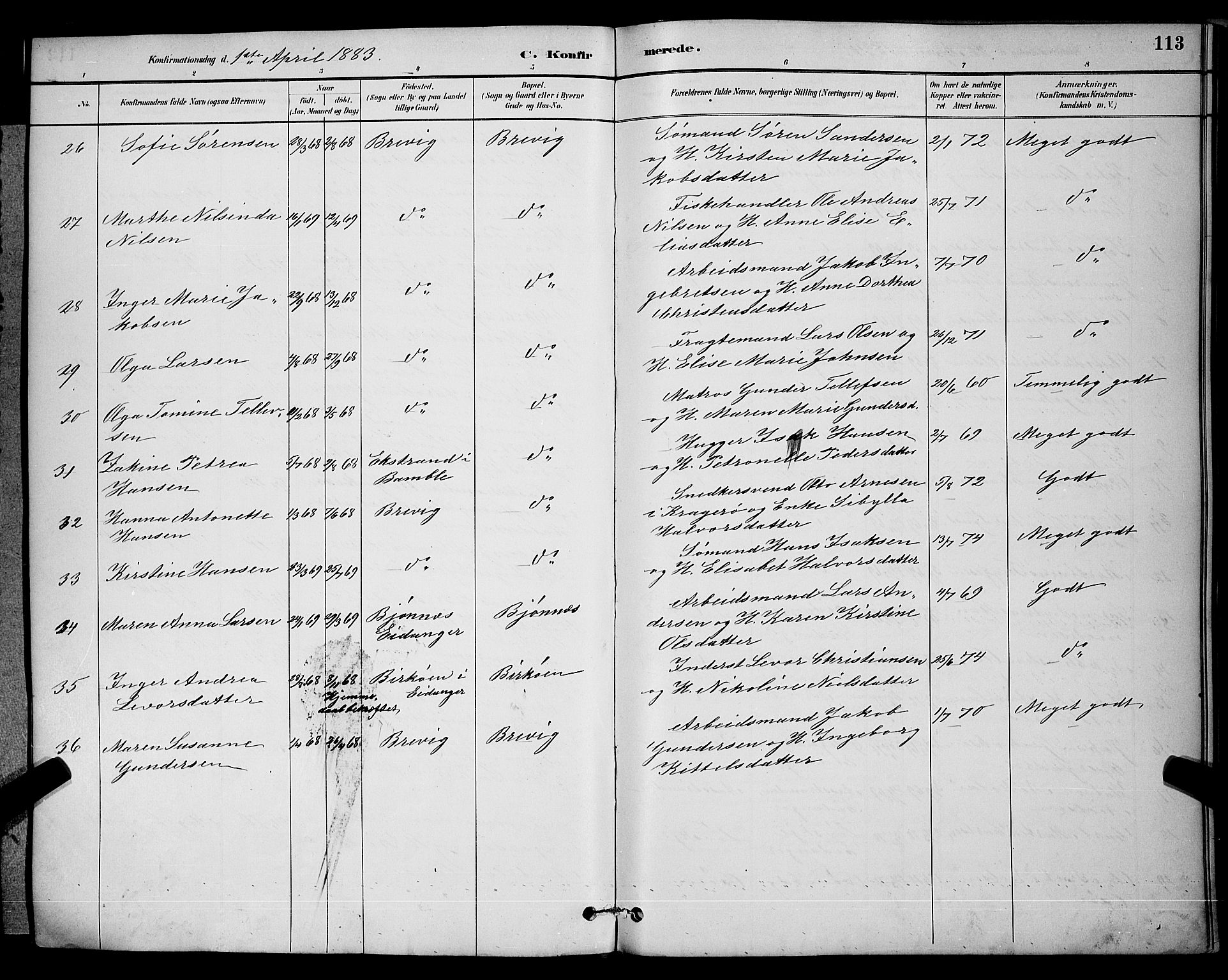 Brevik kirkebøker, AV/SAKO-A-255/G/Ga/L0004: Parish register (copy) no. 4, 1882-1900, p. 113