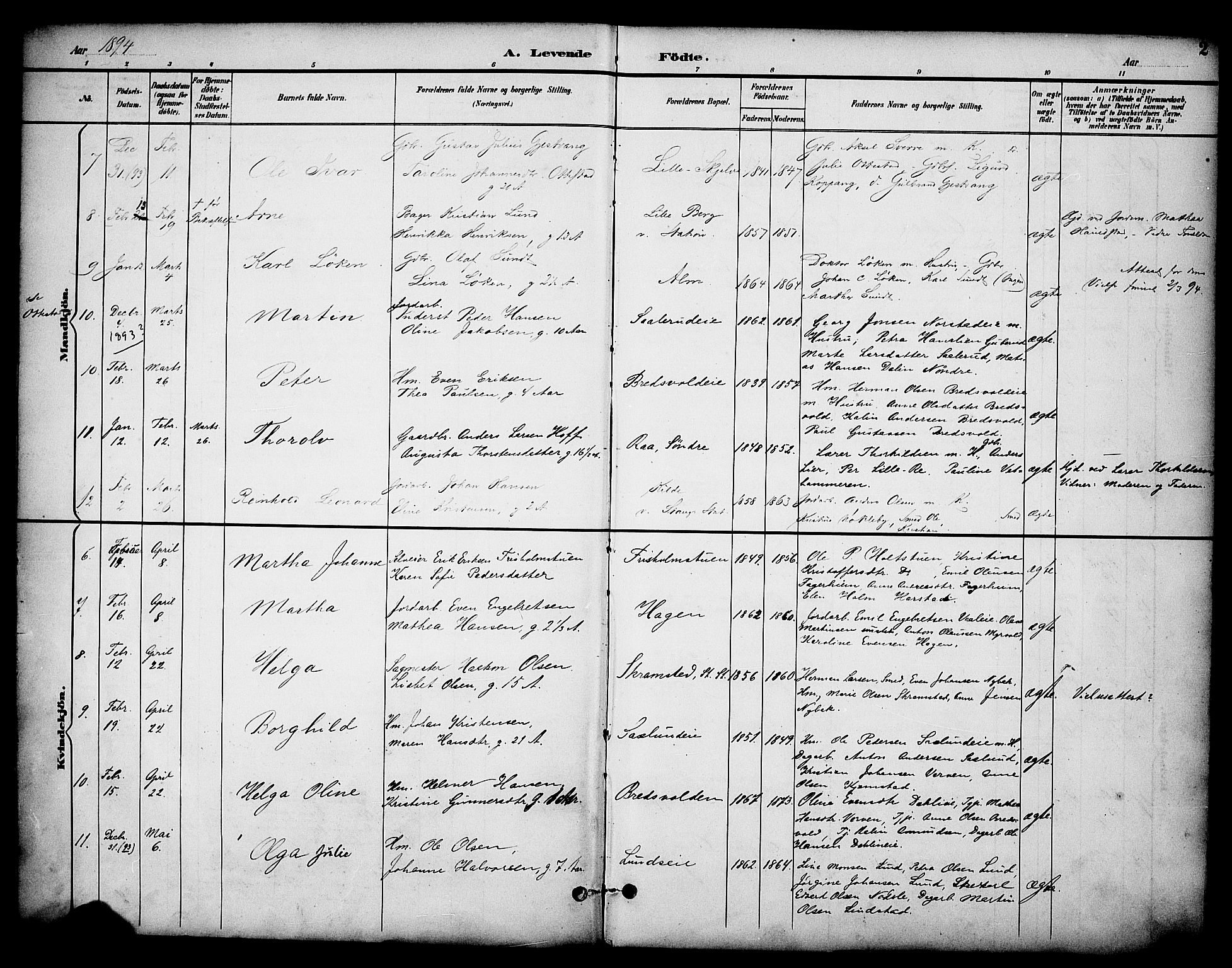 Stange prestekontor, AV/SAH-PREST-002/K/L0020: Parish register (official) no. 20, 1894-1905, p. 2