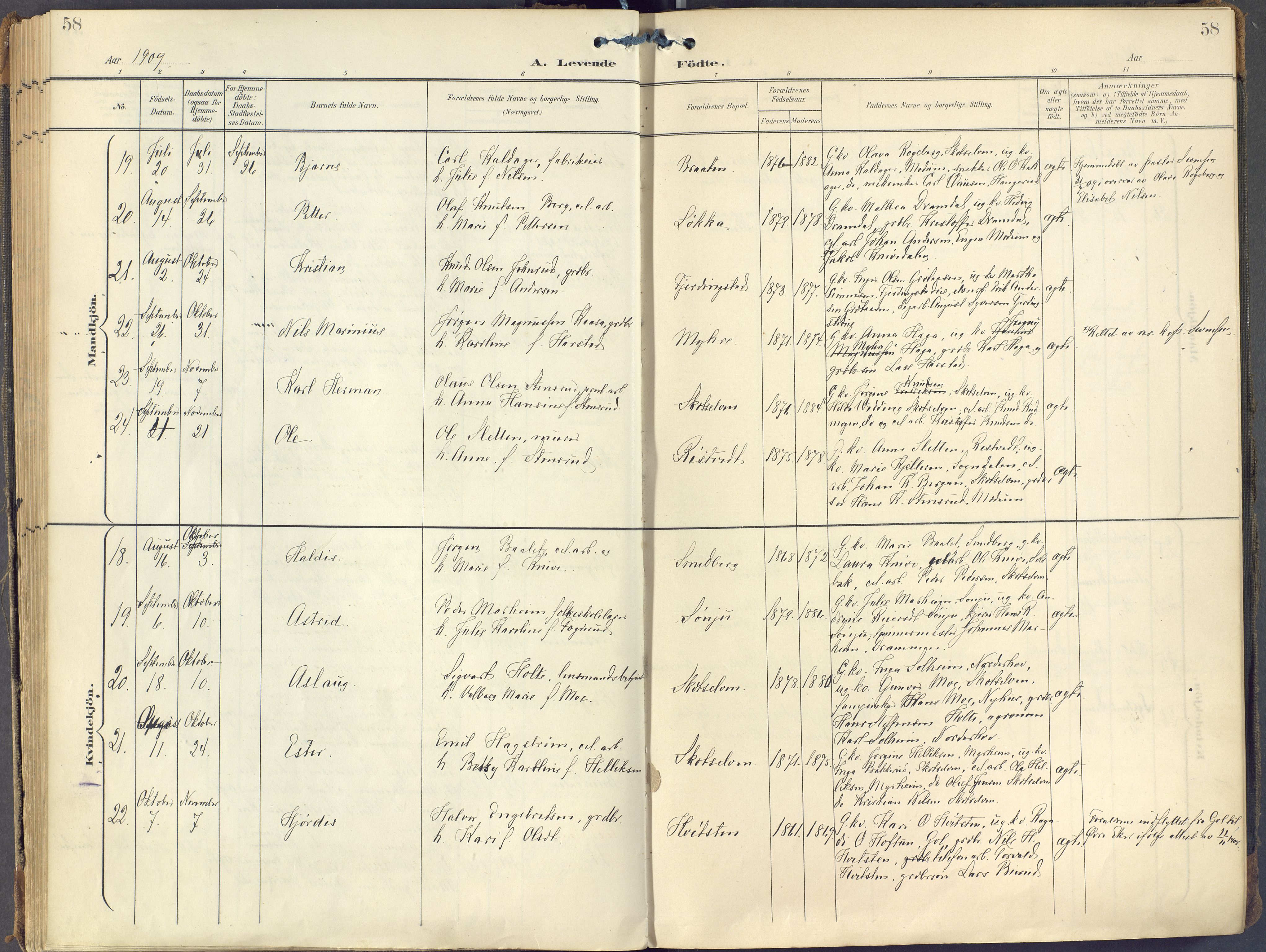 Eiker kirkebøker, AV/SAKO-A-4/F/Fc/L0004: Parish register (official) no. III 4, 1900-1919, p. 58