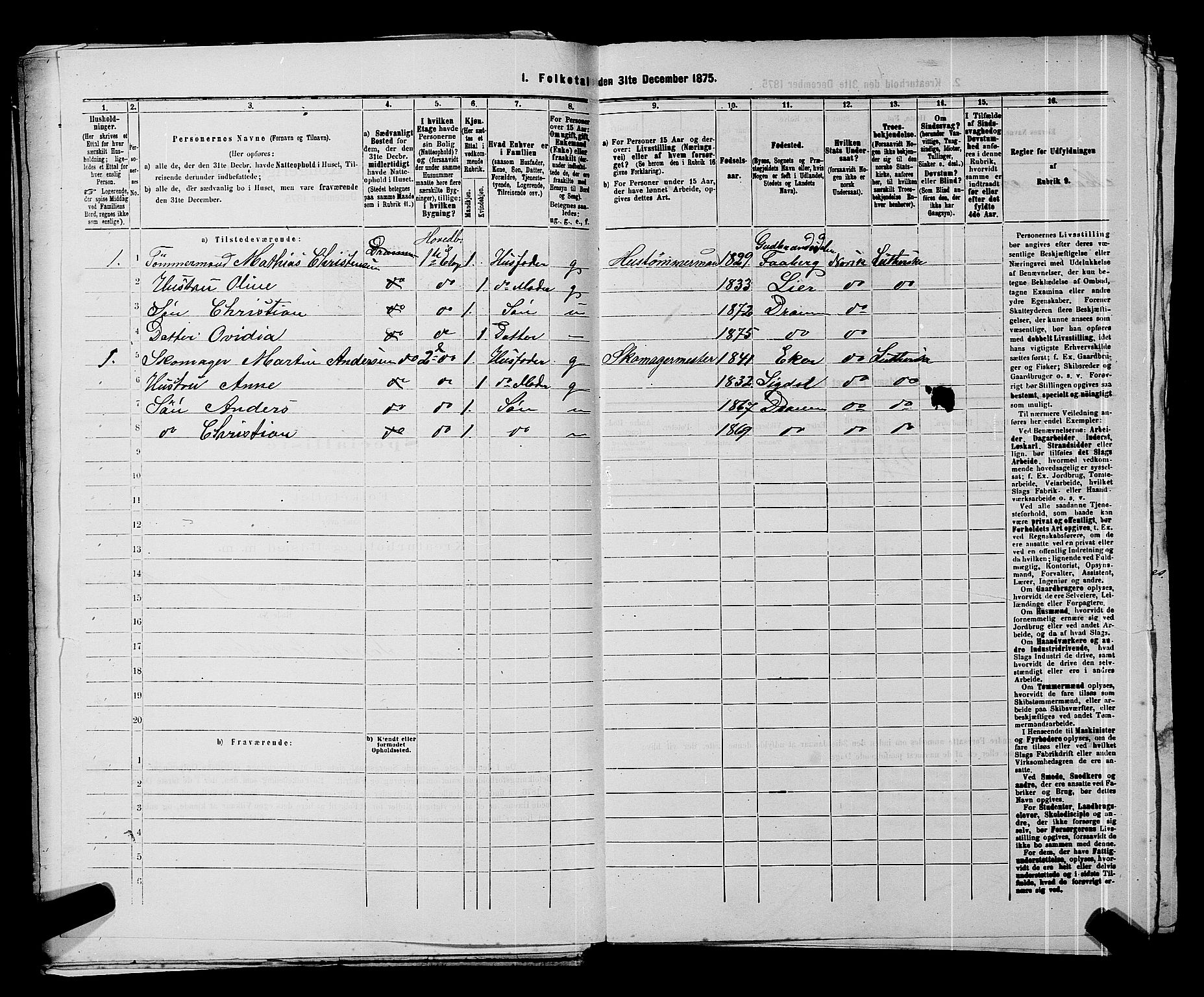 SAKO, 1875 census for 0602 Drammen, 1875, p. 436