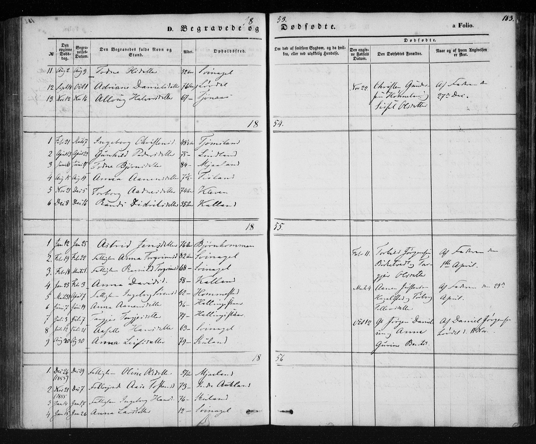 Holum sokneprestkontor, AV/SAK-1111-0022/F/Fa/Fab/L0005: Parish register (official) no. A 5, 1847-1874, p. 183