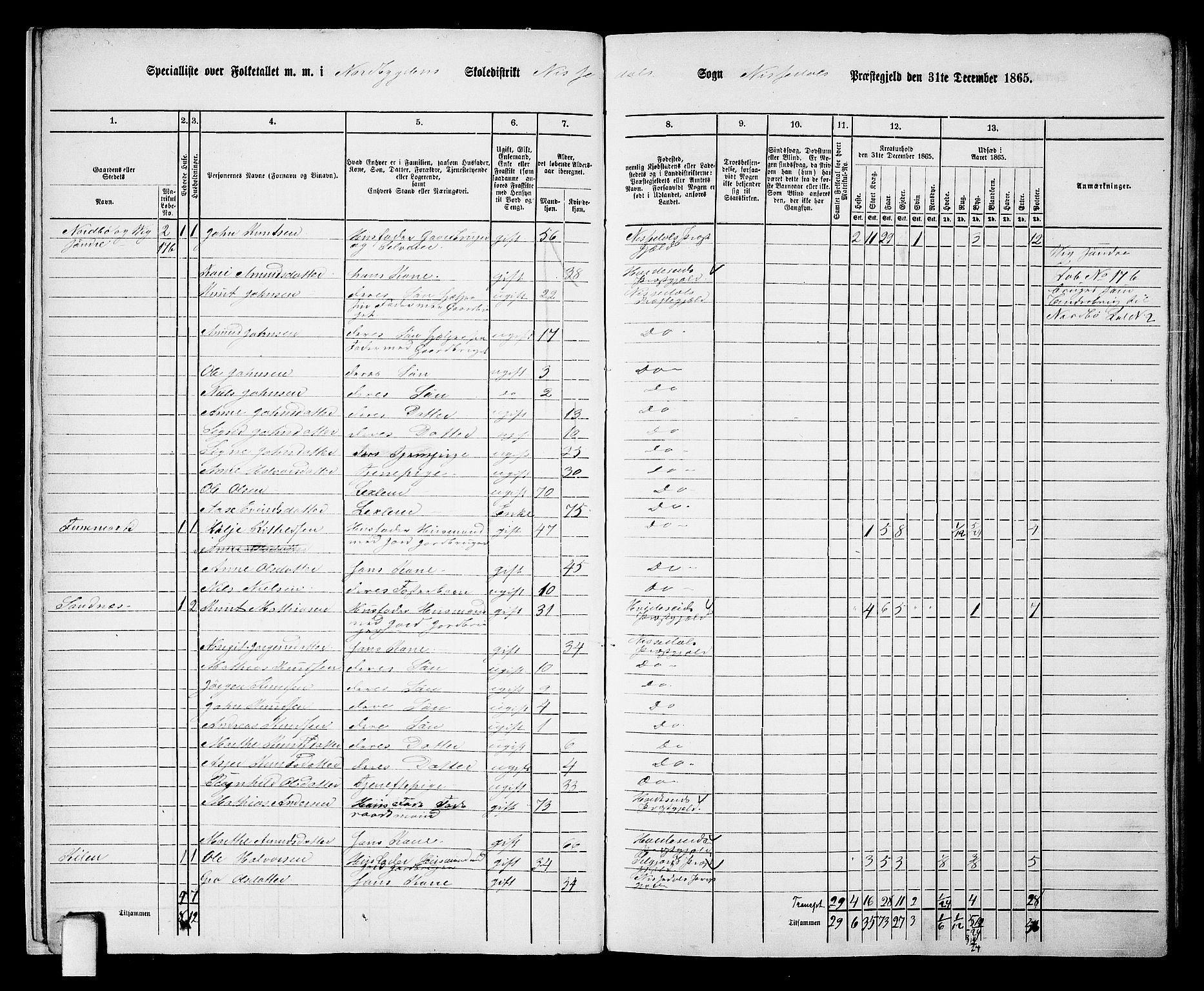 RA, 1865 census for Nissedal, 1865, p. 12