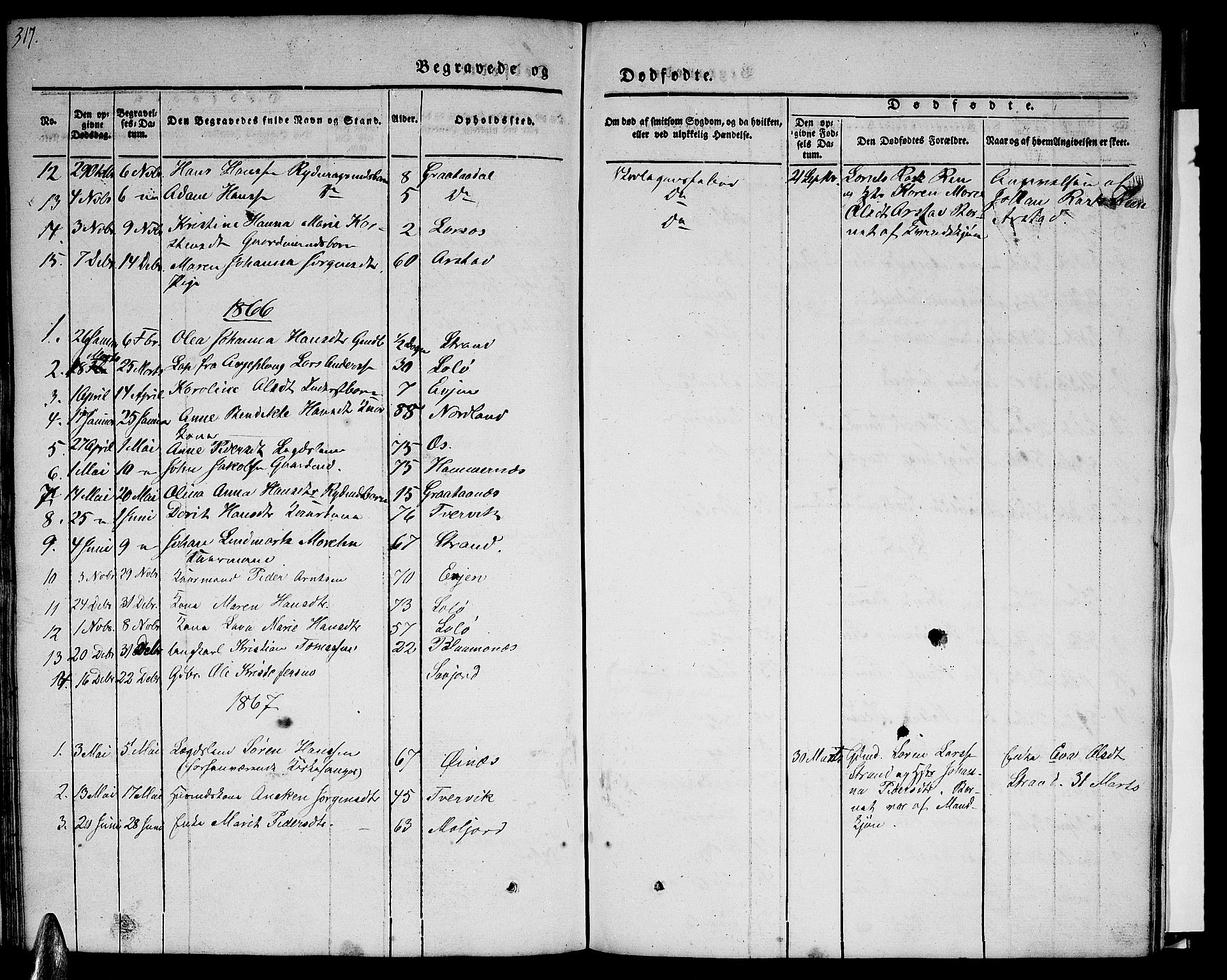 Ministerialprotokoller, klokkerbøker og fødselsregistre - Nordland, AV/SAT-A-1459/846/L0652: Parish register (copy) no. 846C02, 1841-1871, p. 317