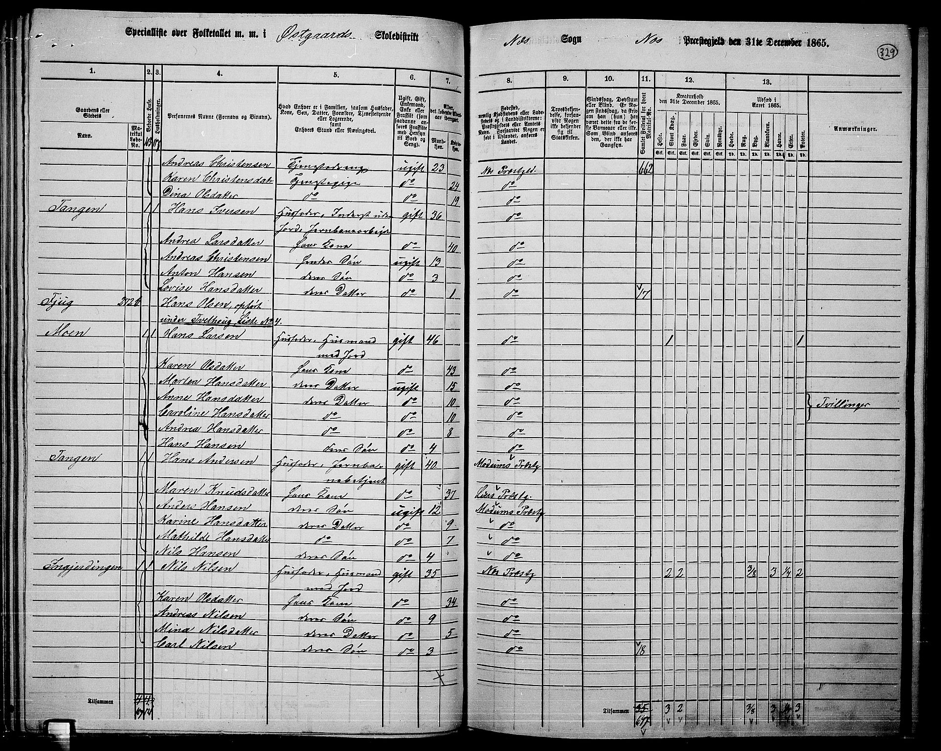 RA, 1865 census for Nes, 1865, p. 304