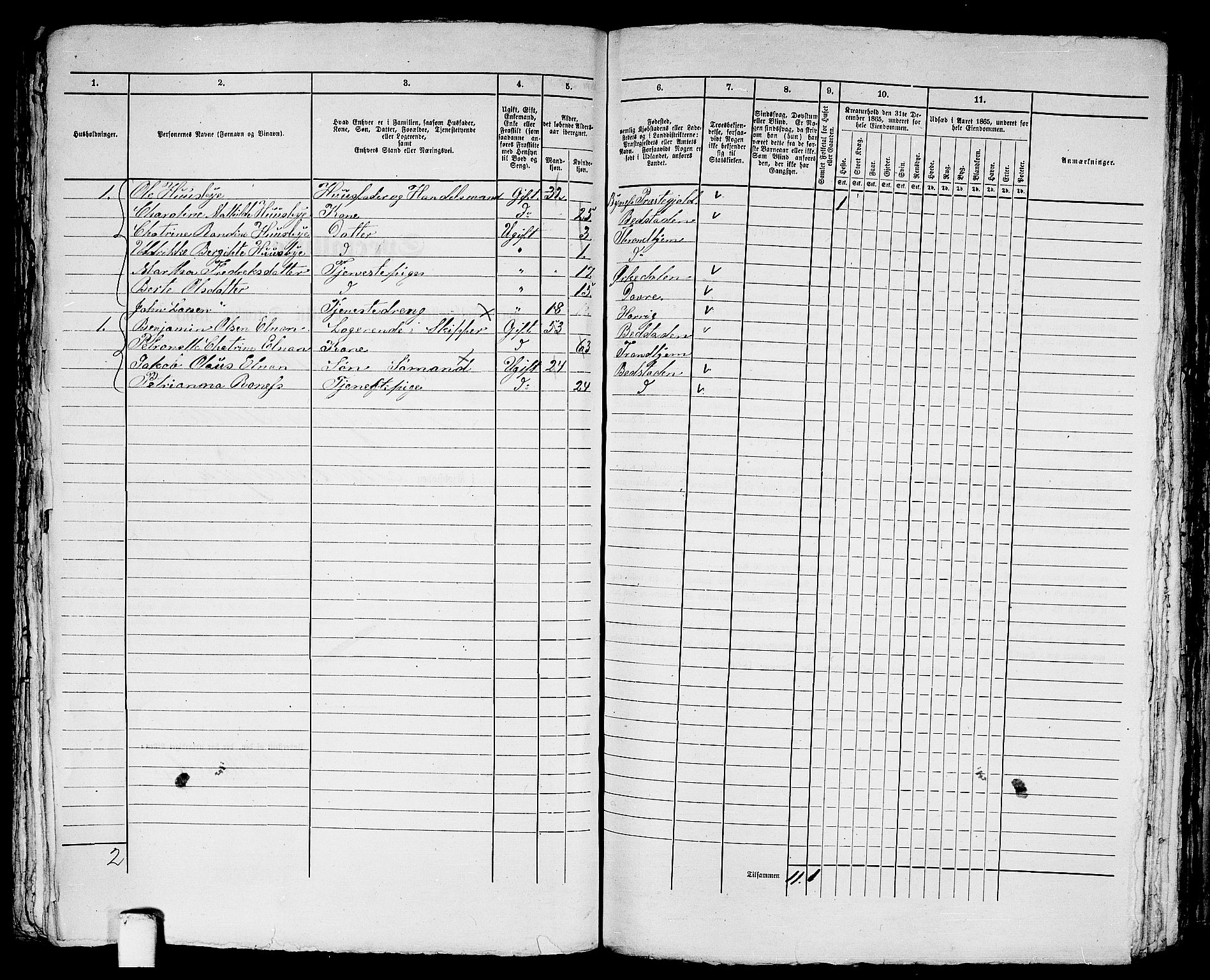 RA, 1865 census for Trondheim, 1865, p. 1822