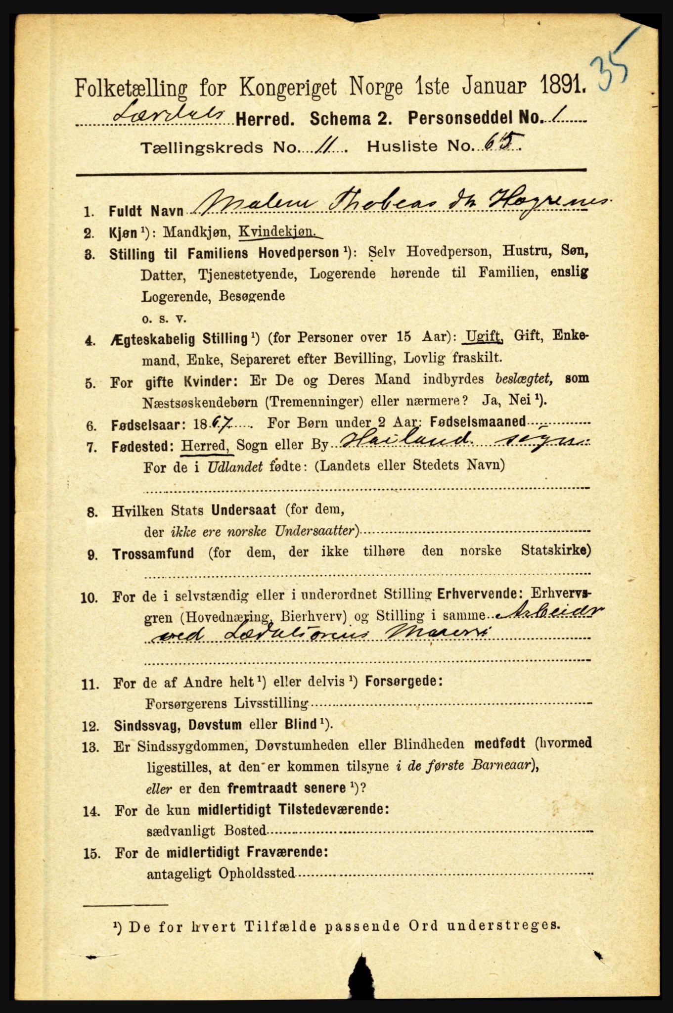 RA, 1891 census for 1422 Lærdal, 1891, p. 2515