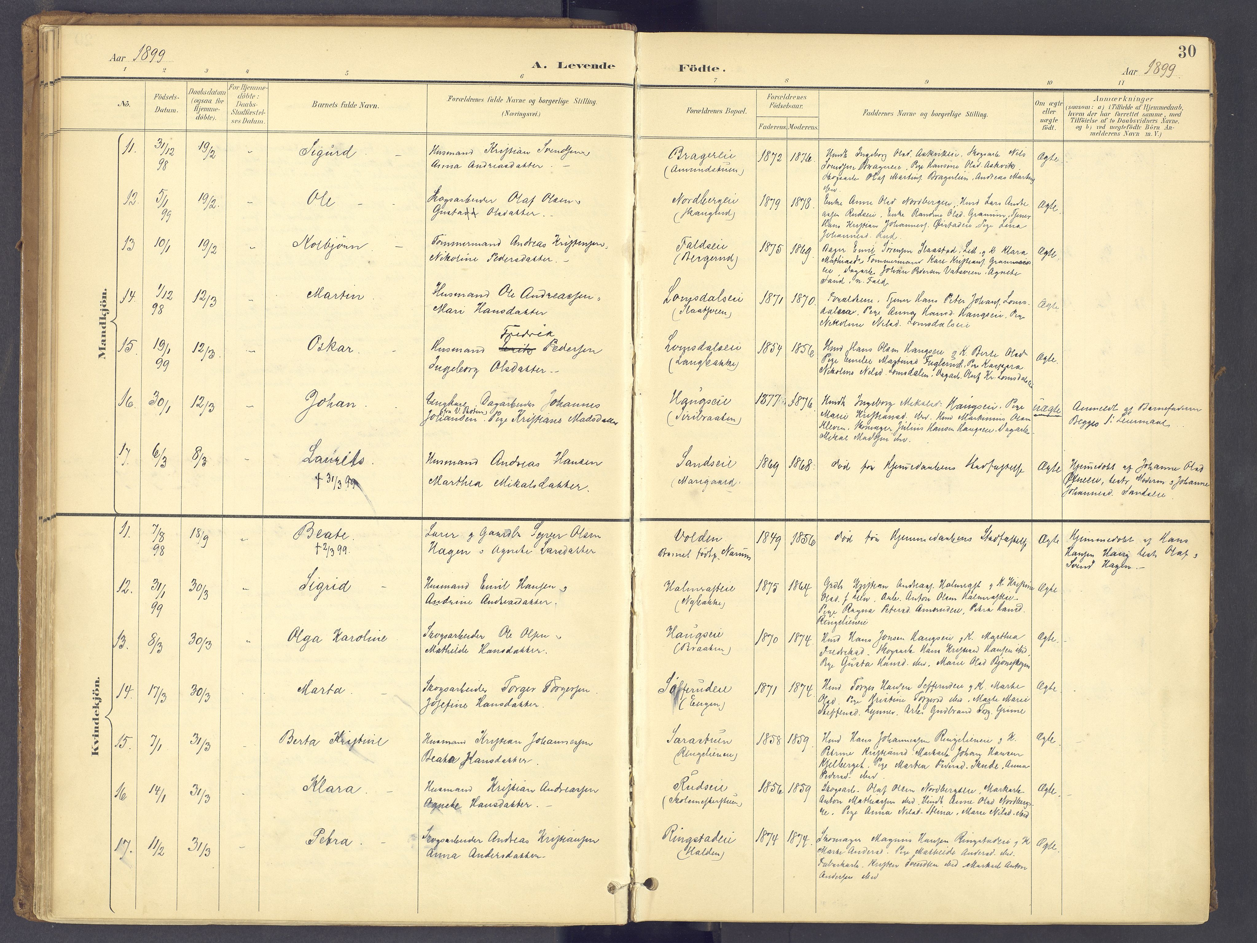 Søndre Land prestekontor, AV/SAH-PREST-122/K/L0006: Parish register (official) no. 6, 1895-1904, p. 30