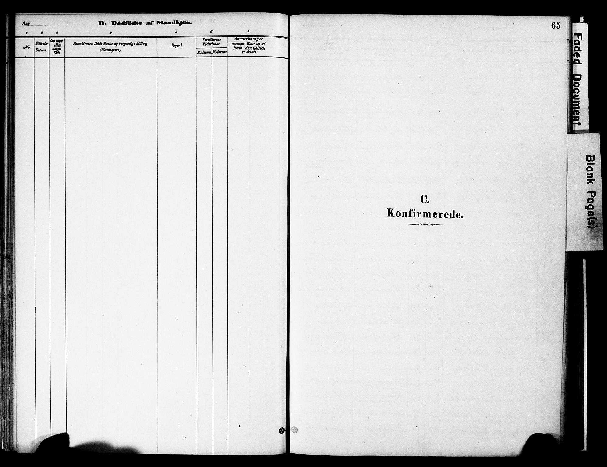 Vestre Slidre prestekontor, SAH/PREST-136/H/Ha/Haa/L0006: Parish register (official) no. 6, 1881-1912, p. 65