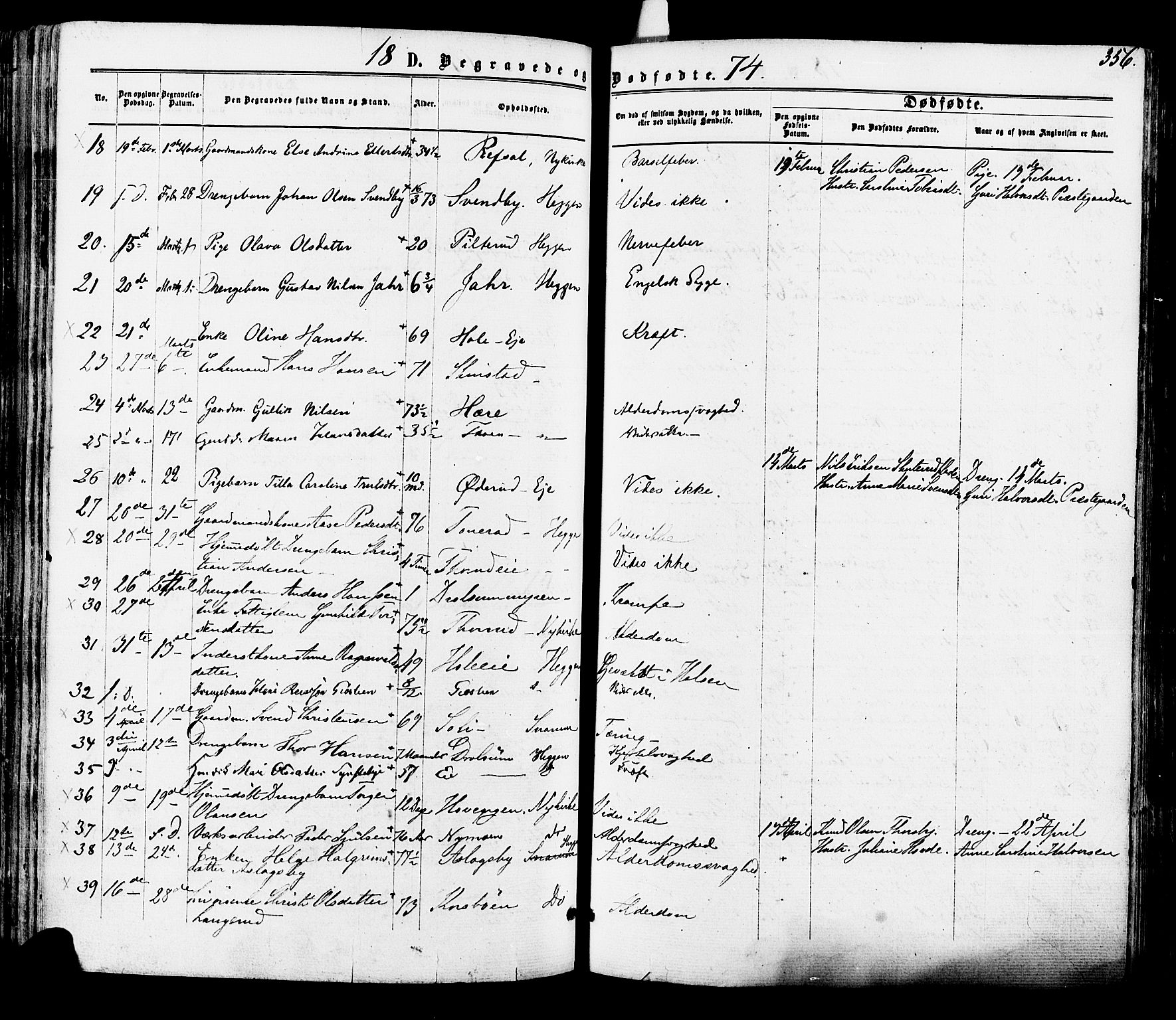 Modum kirkebøker, AV/SAKO-A-234/F/Fa/L0010: Parish register (official) no. 10, 1865-1876, p. 356