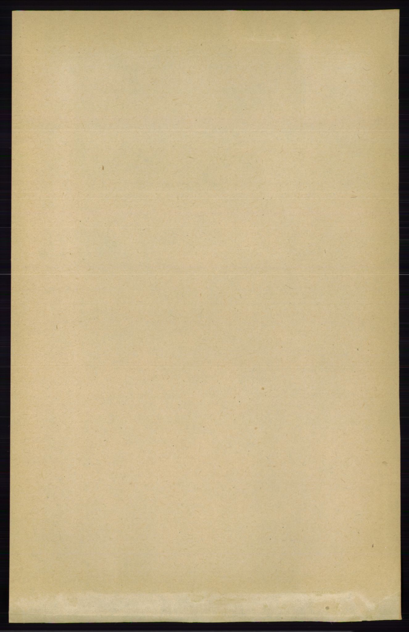 RA, 1891 census for 0828 Seljord, 1891, p. 569