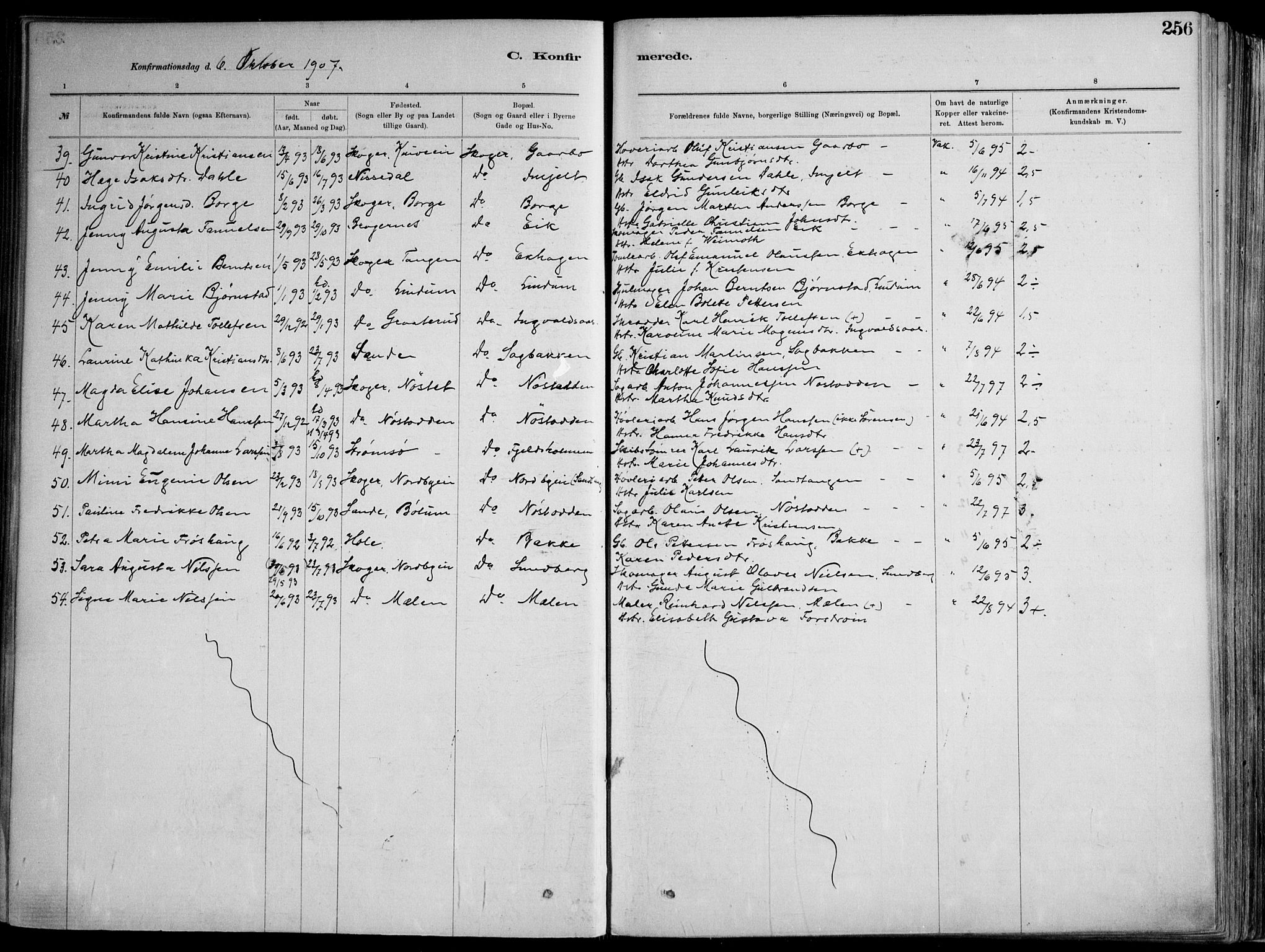 Skoger kirkebøker, AV/SAKO-A-59/F/Fa/L0006: Parish register (official) no. I 6, 1885-1910, p. 256